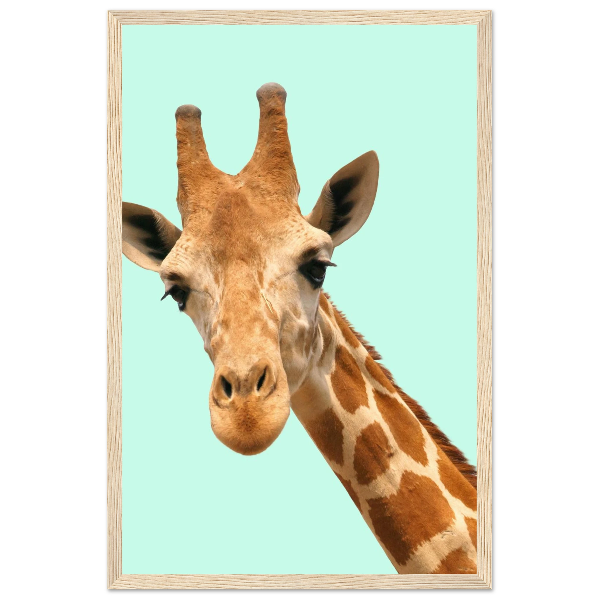 cfe1b257-76a6-49af-98f8-9d4543179353