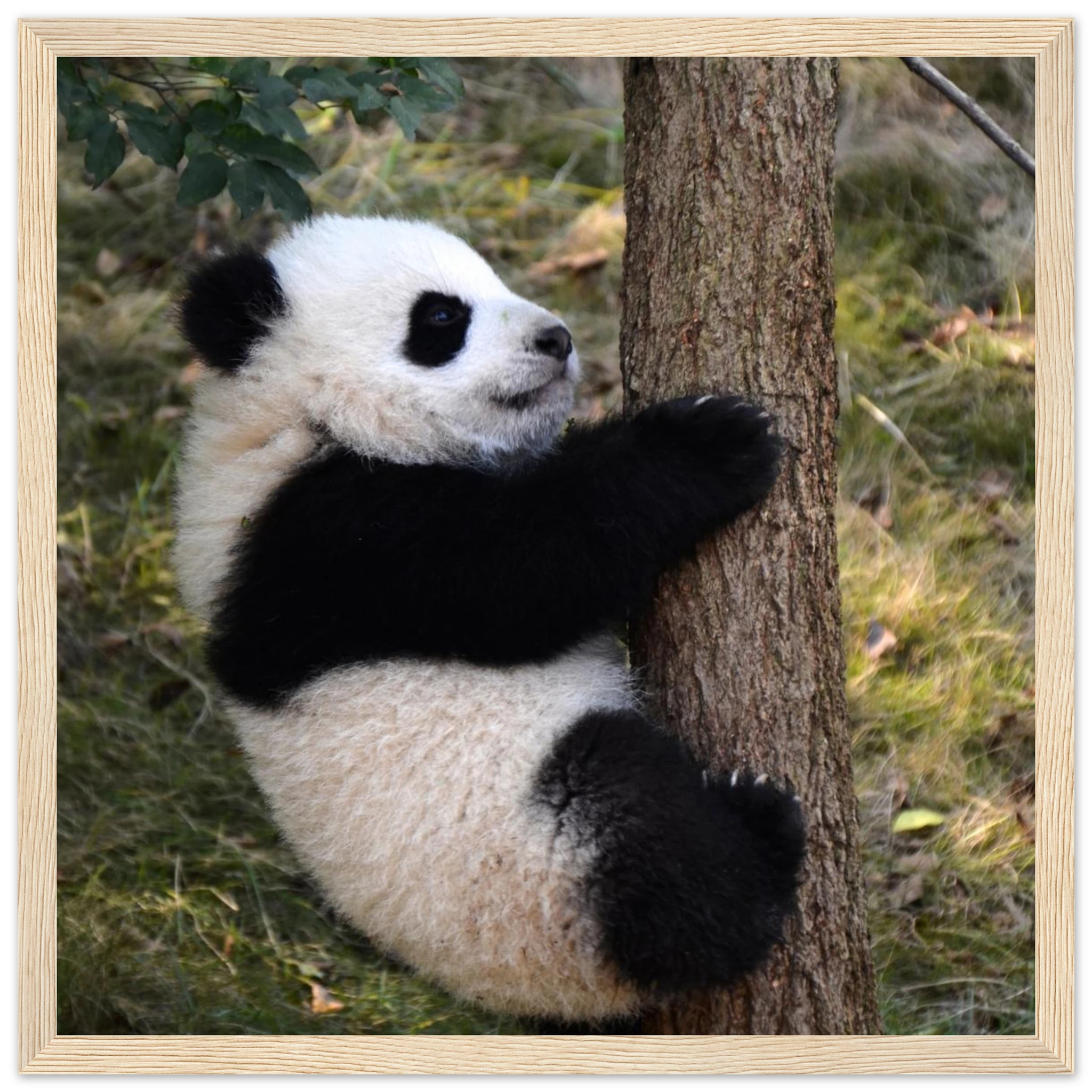 d0223101-19de-4665-b75b-366e3be9773c