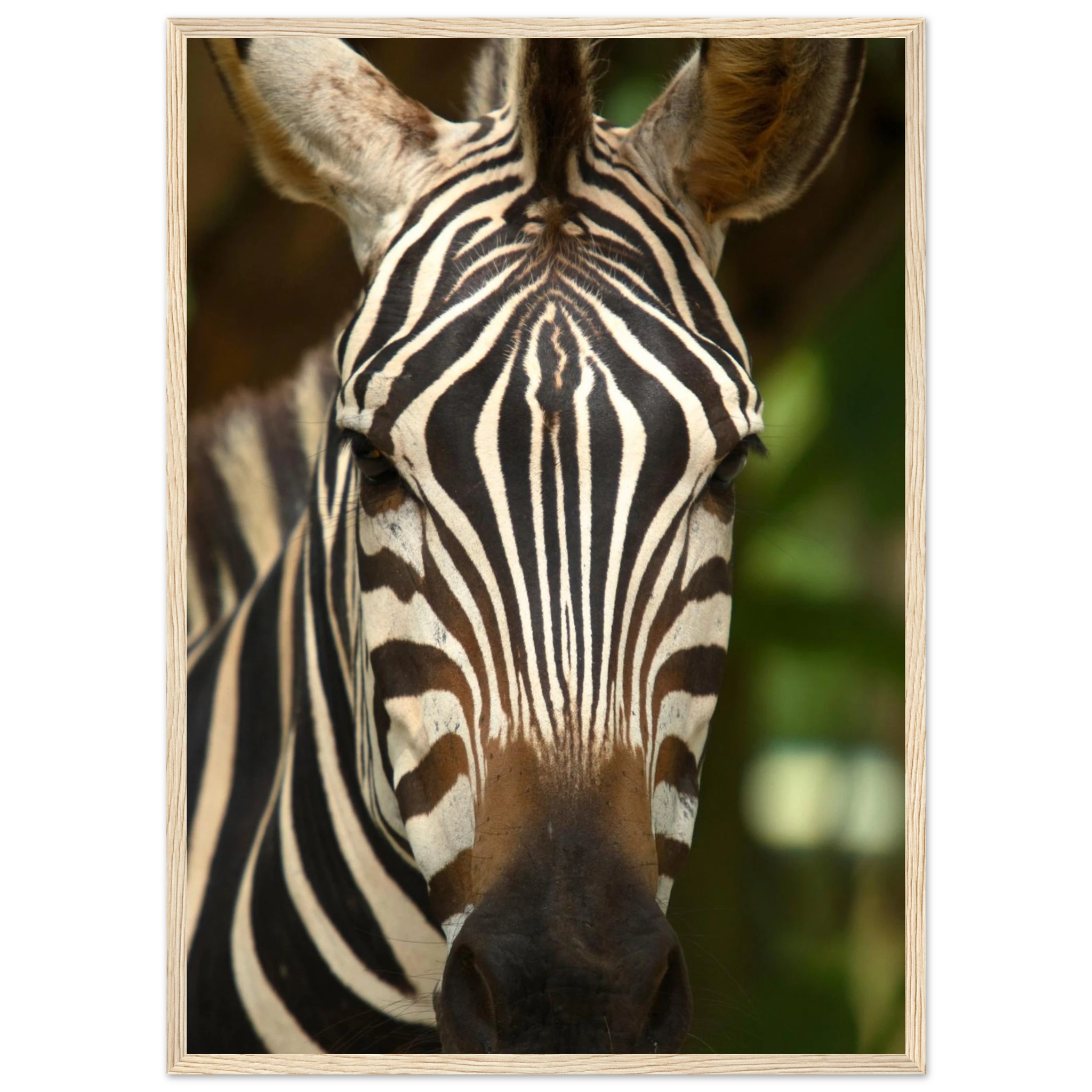 d03112e9-9eee-4de6-9eb7-f781efac9368