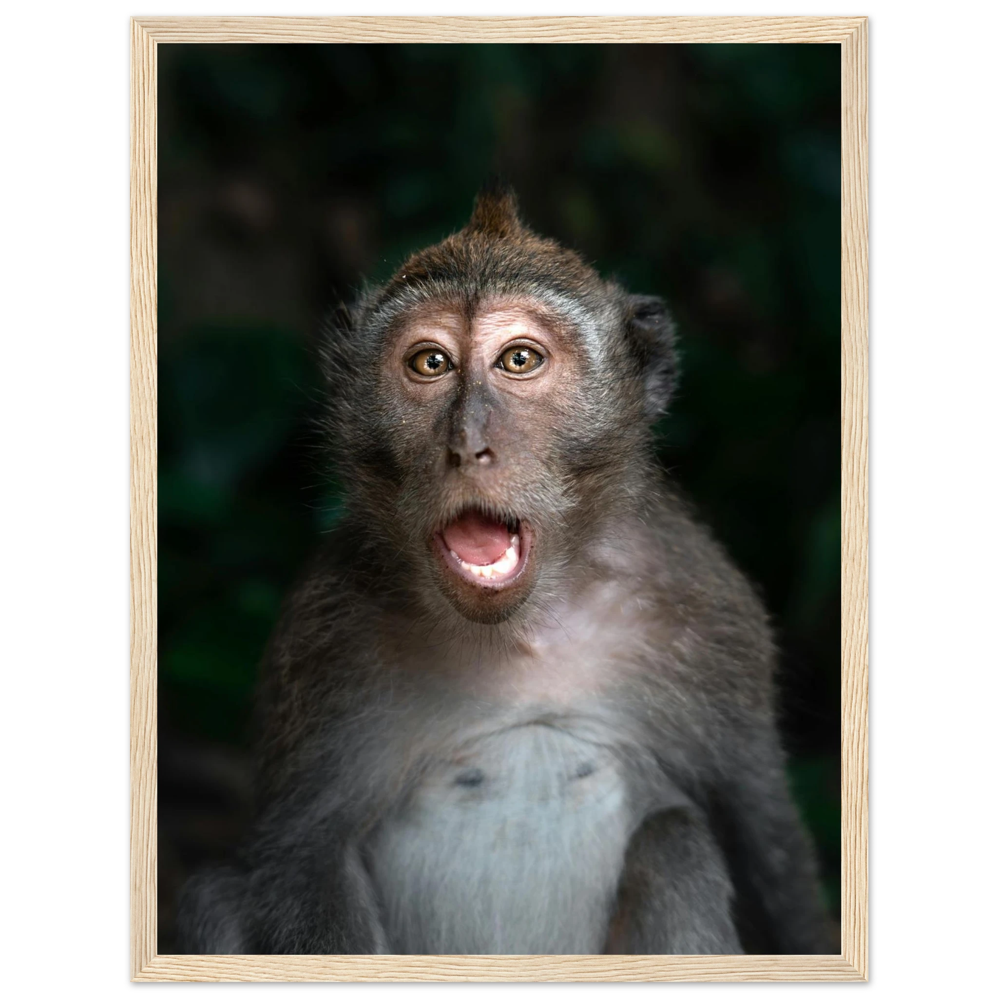 d0419c28-2178-4b19-864d-c1491246ff27