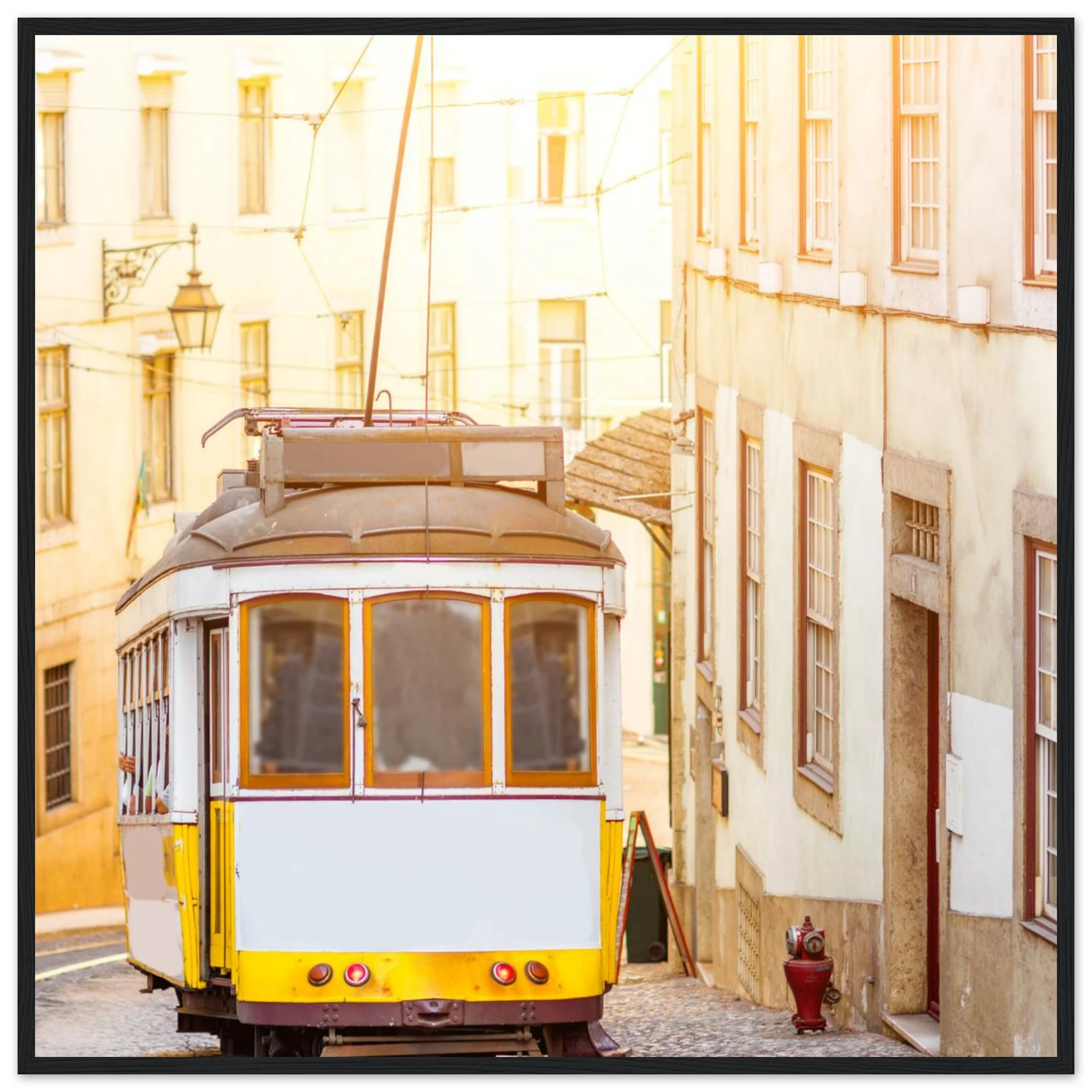 d0586c71-4ce0-4d2a-ad92-ce740a0ebca3