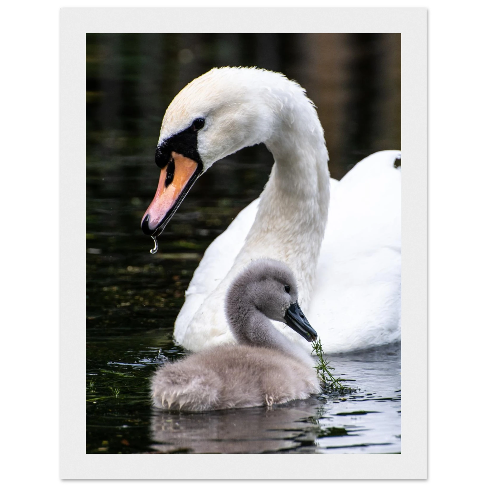 d0603d94-ff48-417e-8d55-07e97706b052