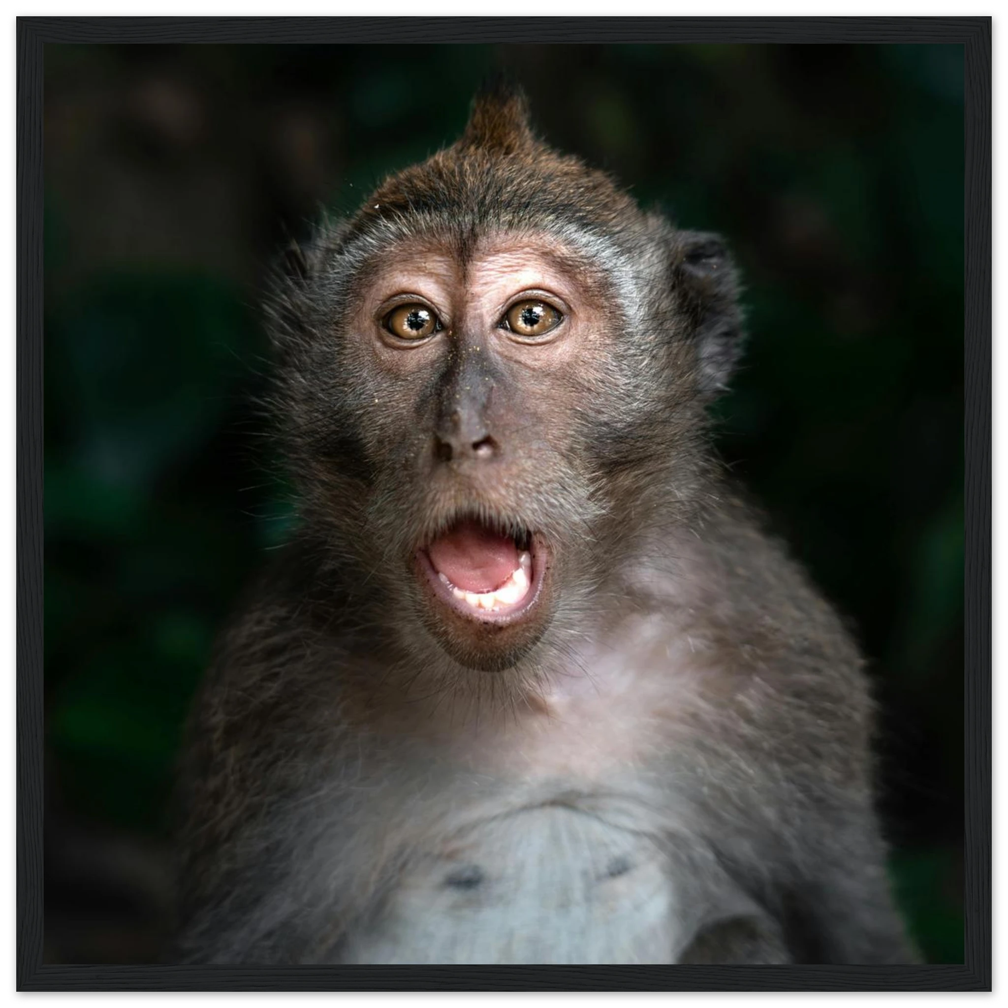 d080be14-703f-4612-8968-8d2c89da8605