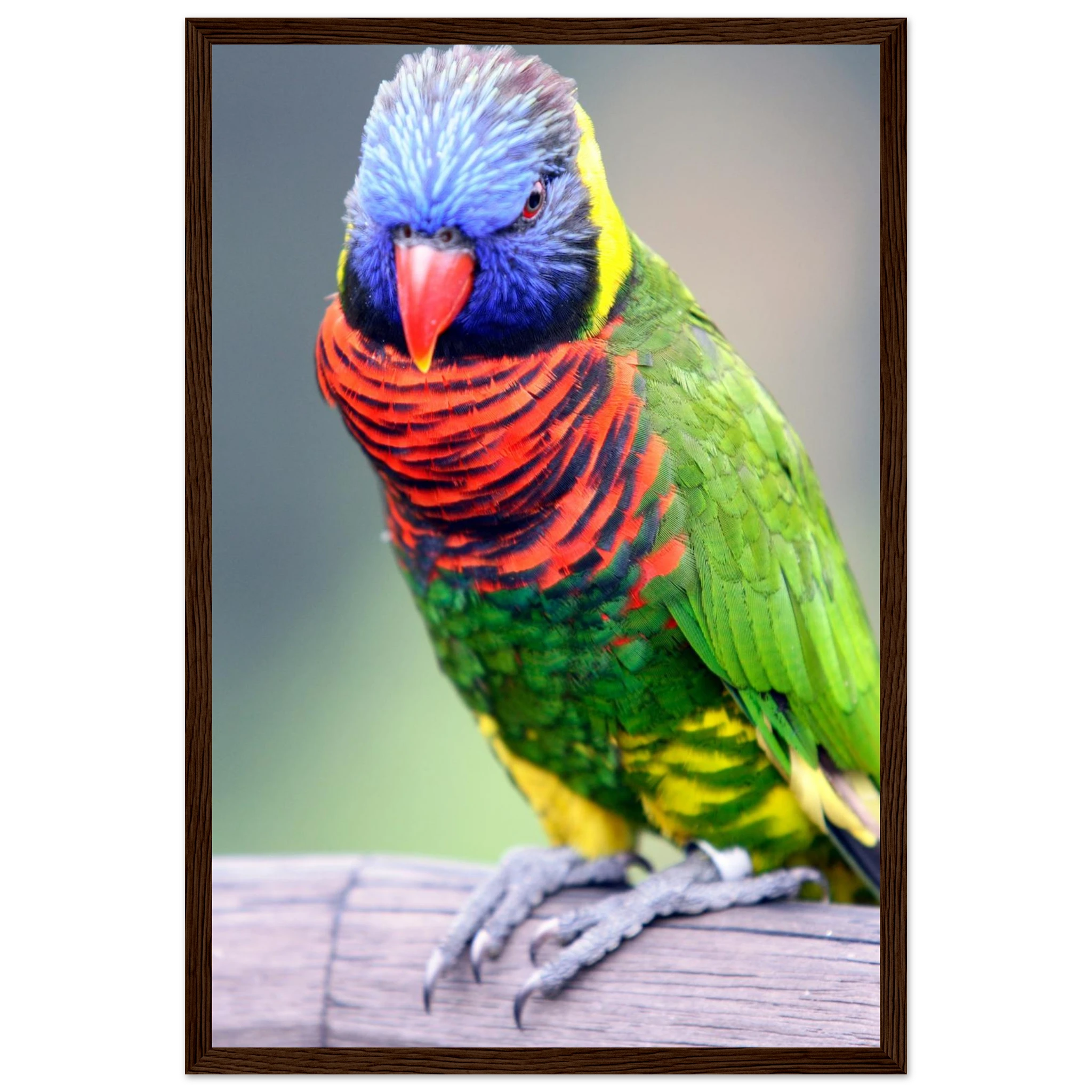 d0878110-07d9-436c-a047-b4fe3dd1a7f2