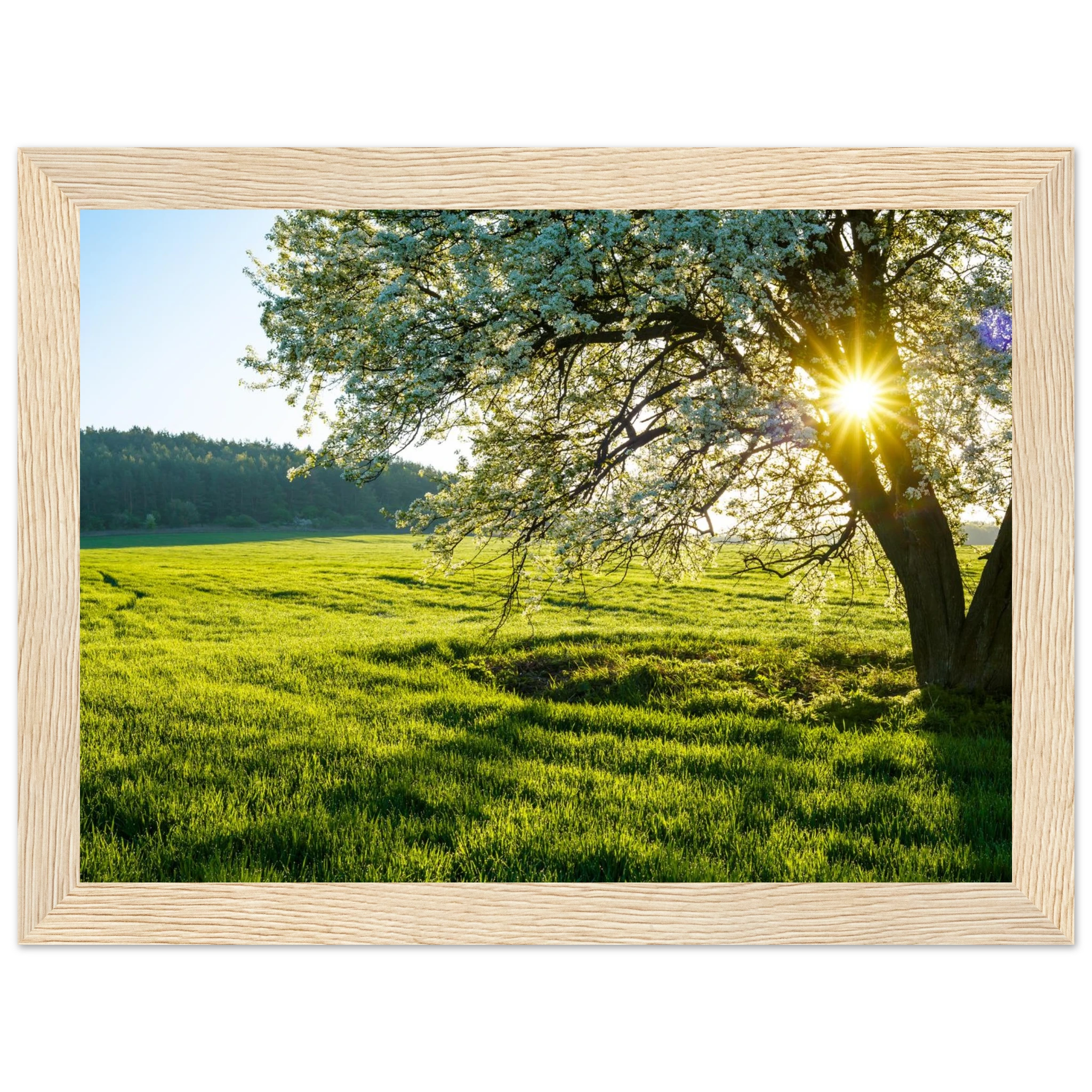 d0a5388b-9fa5-434e-9bd0-e3f6dd1cde3e