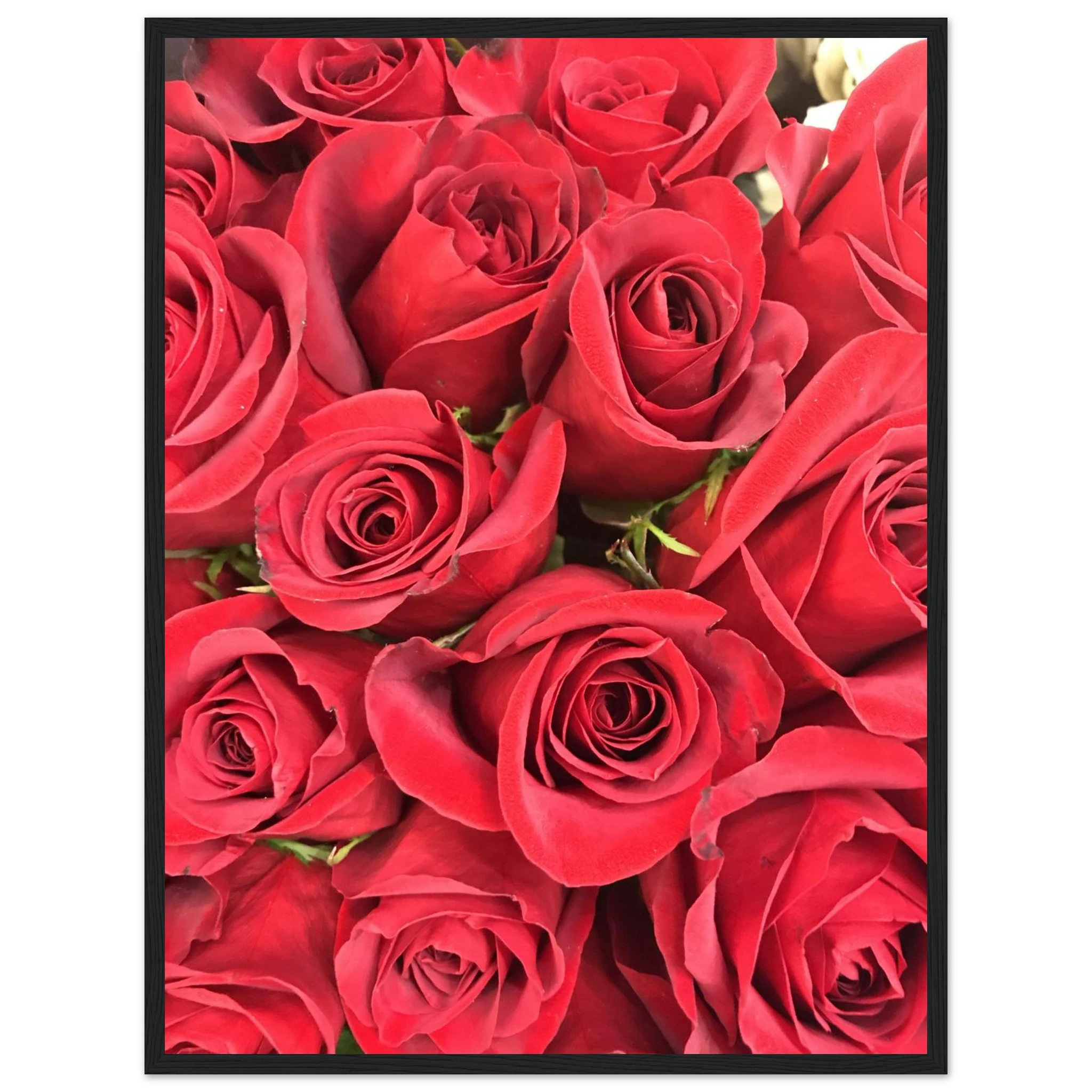 d0c0d14a-e15f-4824-b2b2-3e3311b369b1