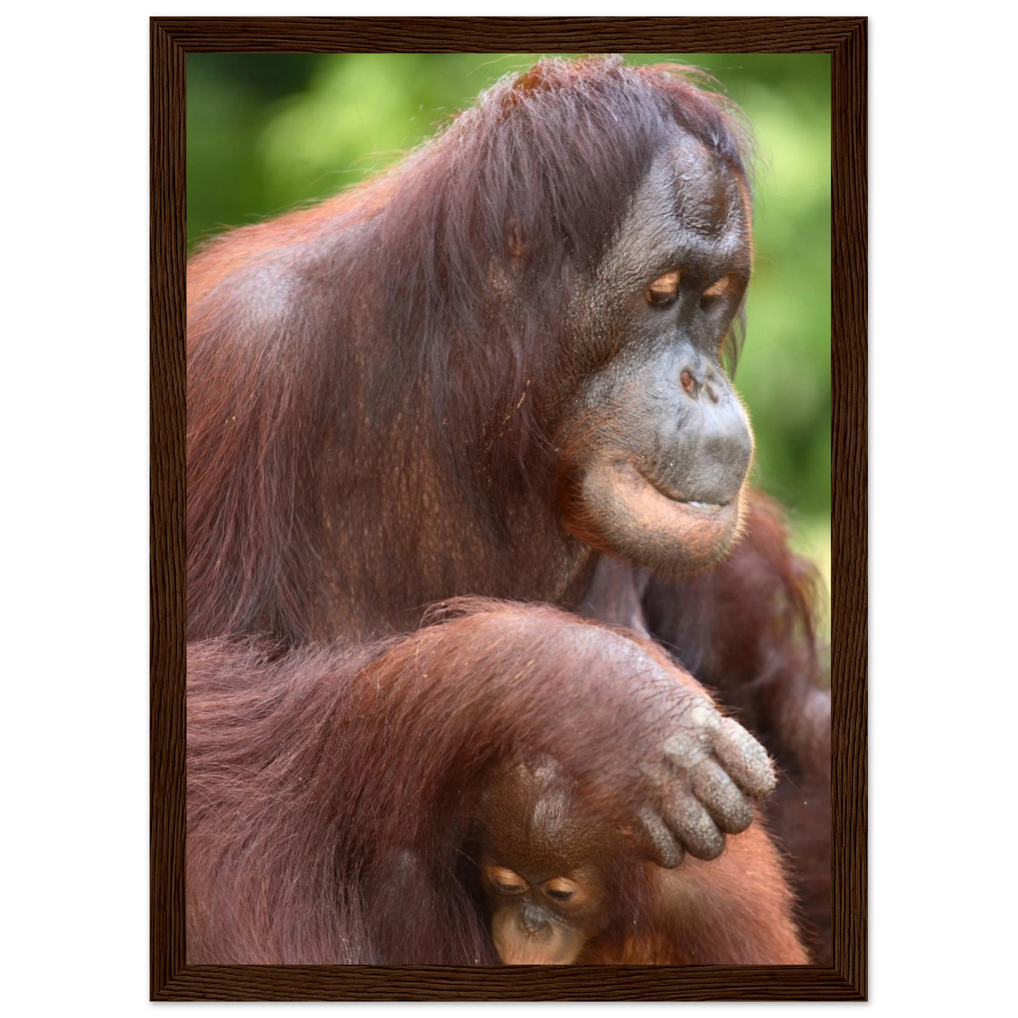 d0c30f9e-2354-4475-8516-d74f10962fd7