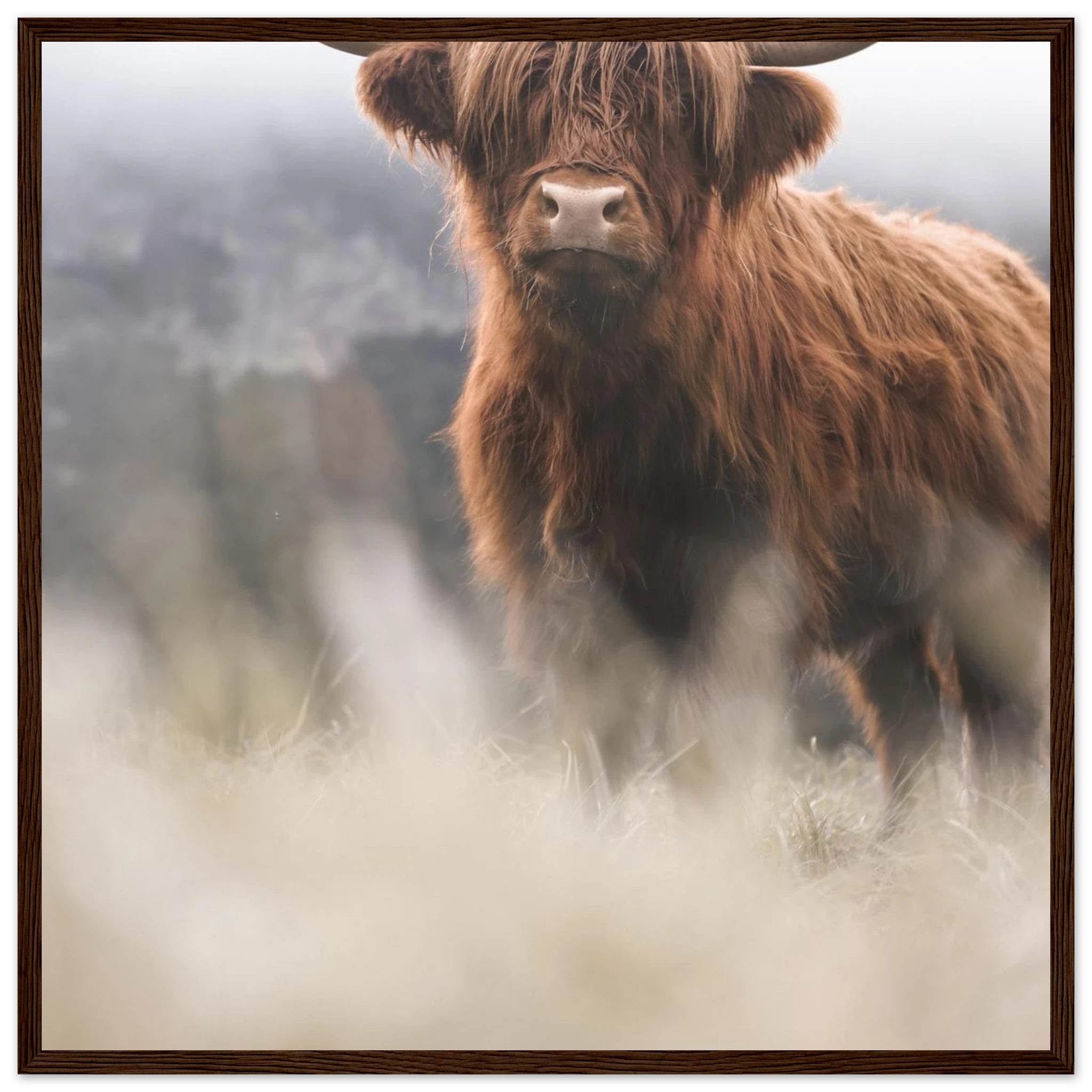 d0d72eec-bc1c-450a-9cb5-57922fb6557b