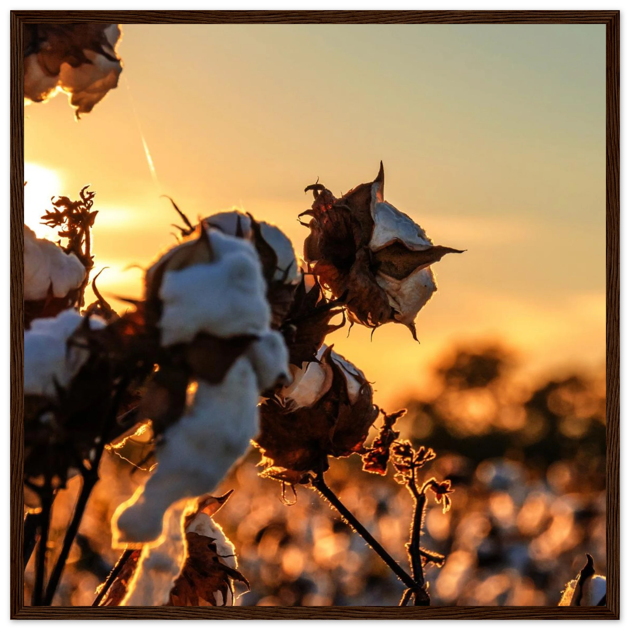 d0f76b68-5425-41c6-a4b6-4609c59da9a4