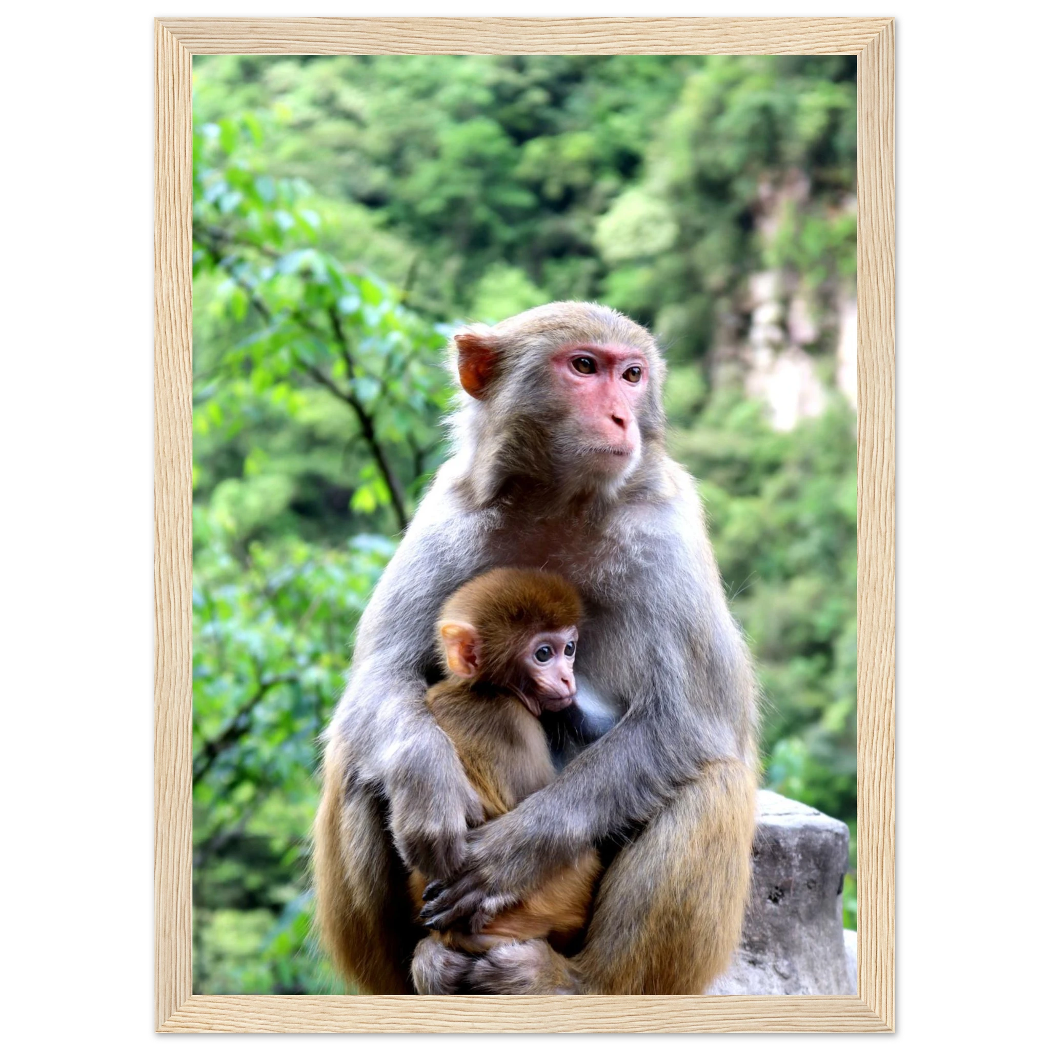 d0fced48-de58-4894-b676-a9d7a2fc0517