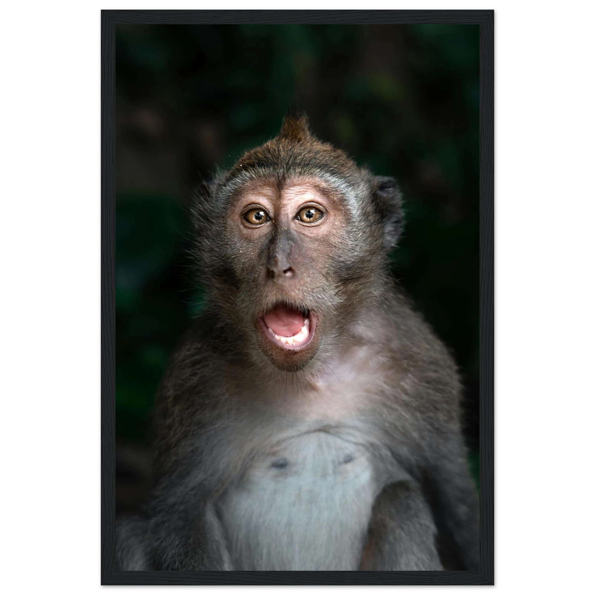 d10d9565-7050-4a0e-b62f-be98ee5e871f