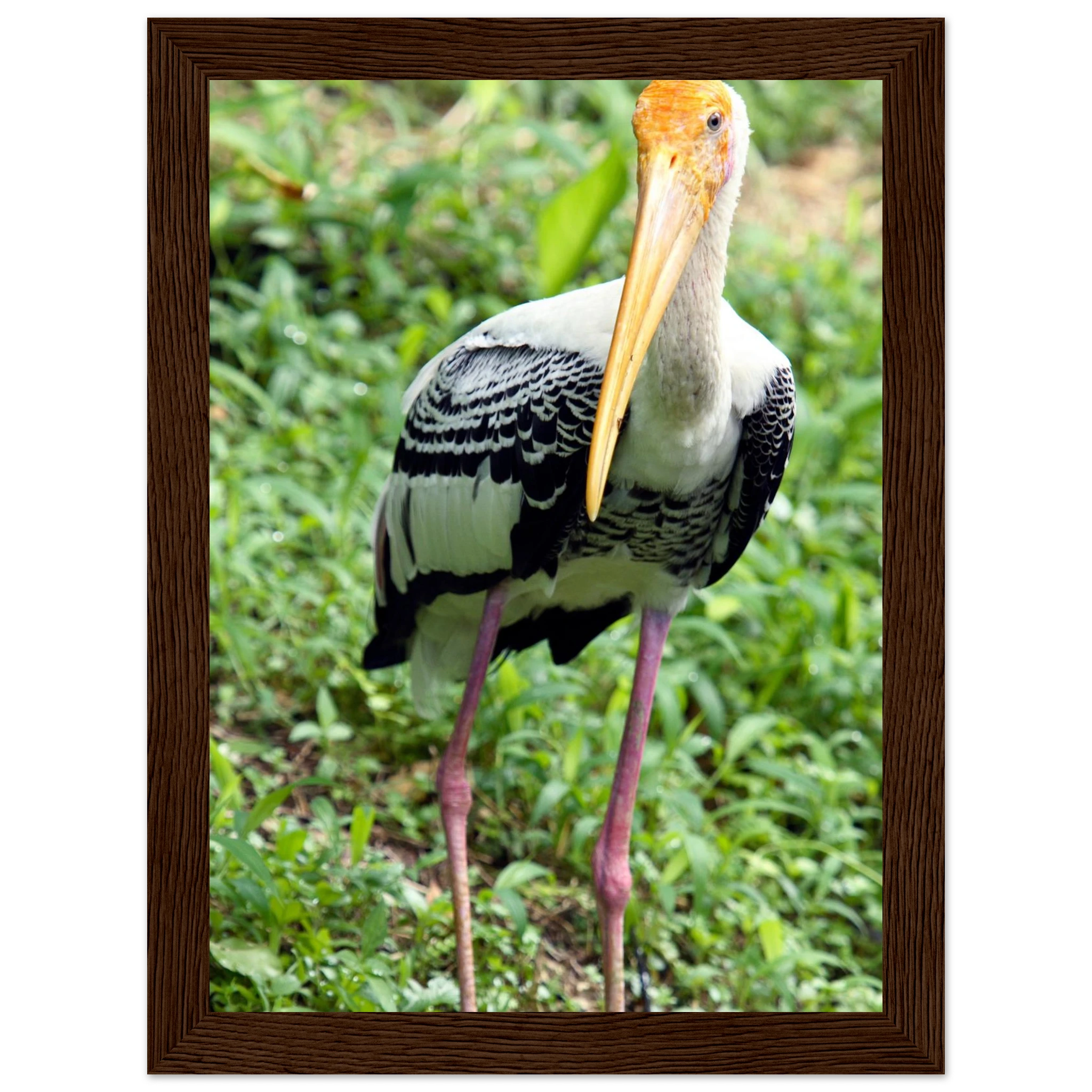 d123d7a3-9d52-4e1d-b701-76eb1171e084