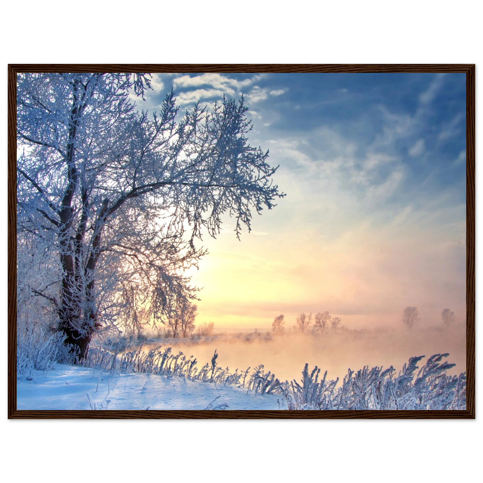 d13bfb88-9952-4655-8da5-5a9fffa2f01b