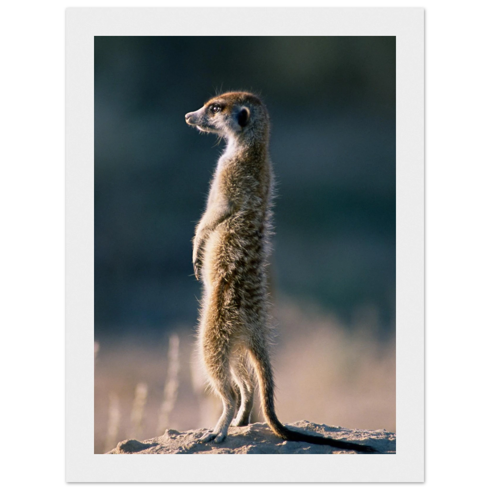 d14e402a-6379-4eab-adda-65ce69bf8c96