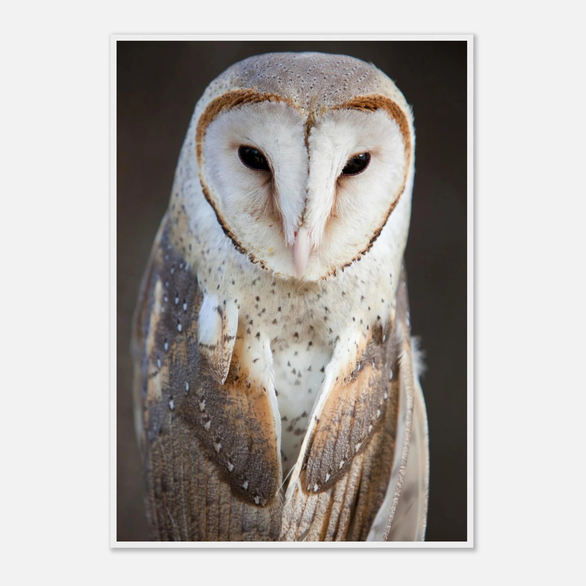 d188ae93-2c67-4094-b6da-125a3b9f3eb1