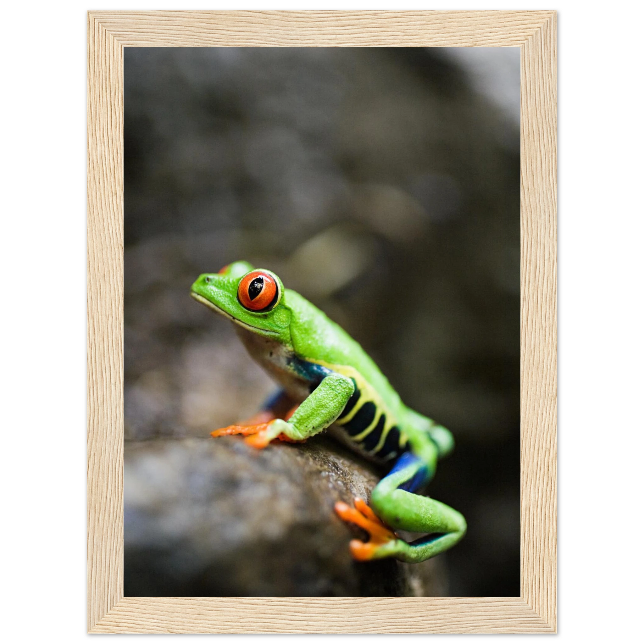 d188c3e7-0850-4302-8ea2-a8609449f79e