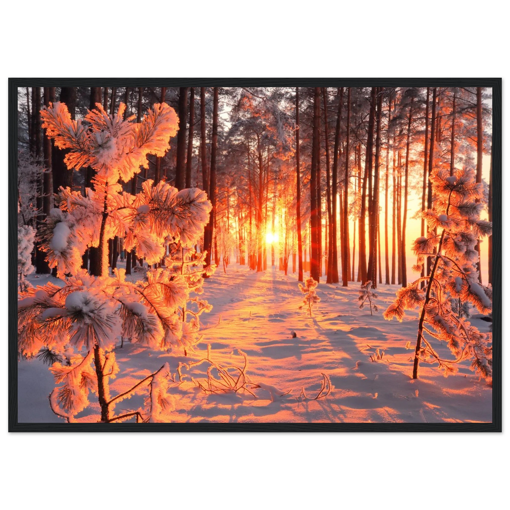 d18e42b5-bdcf-48ff-a57c-fc3f1b6dc25f