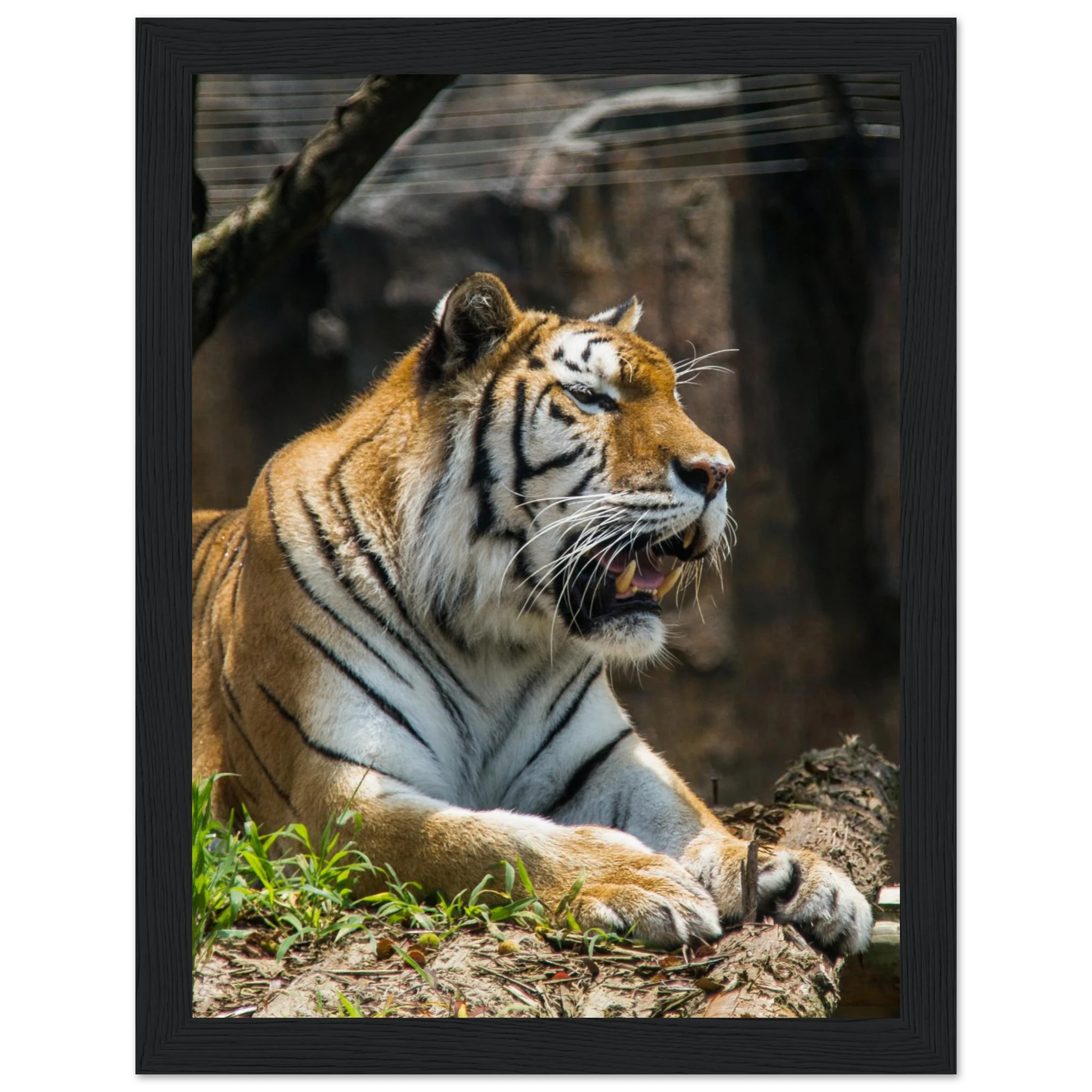 d19767ac-7c91-4324-871f-a10e4cd51bc0