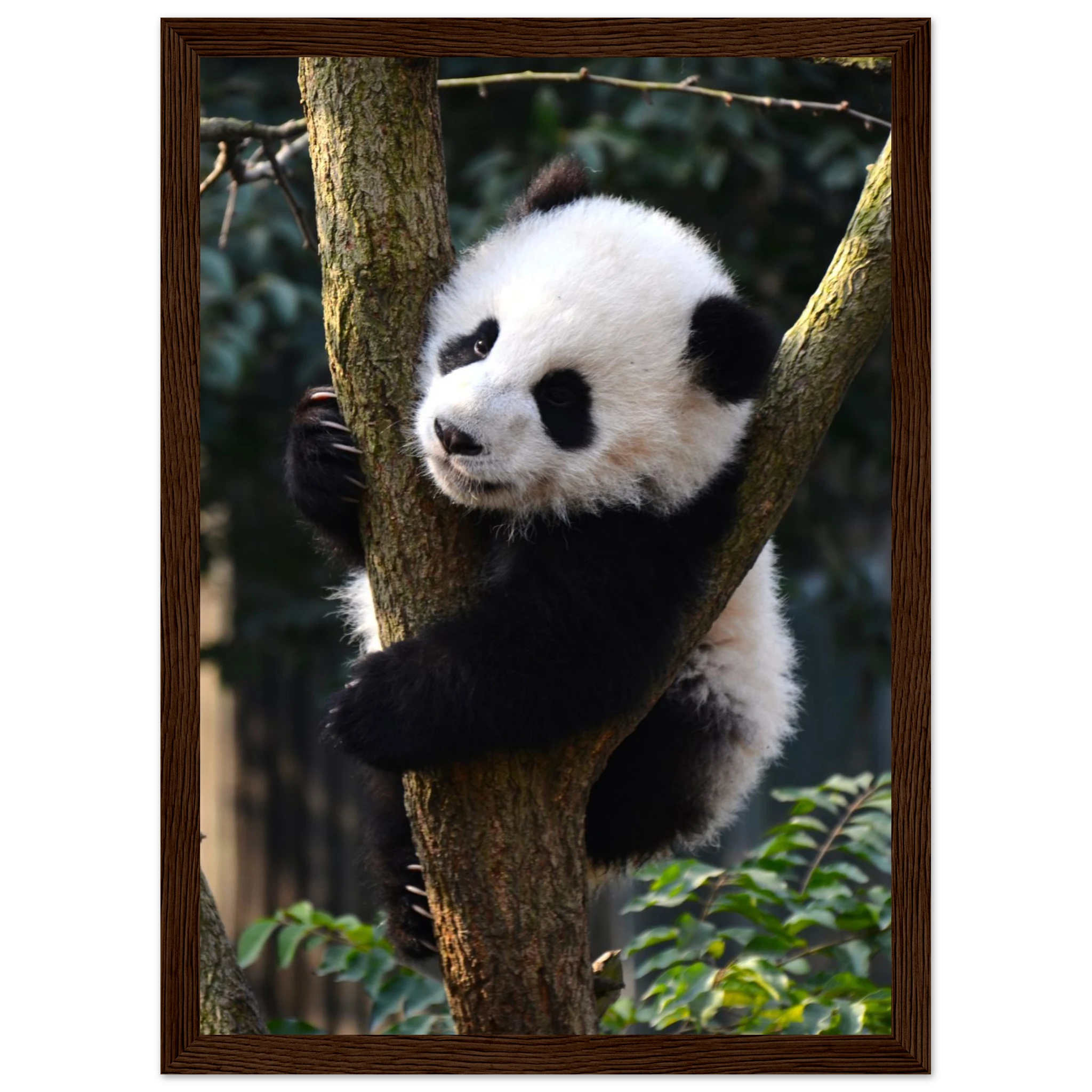 d1a61c2c-2786-4095-a1ca-8fb87dacde53