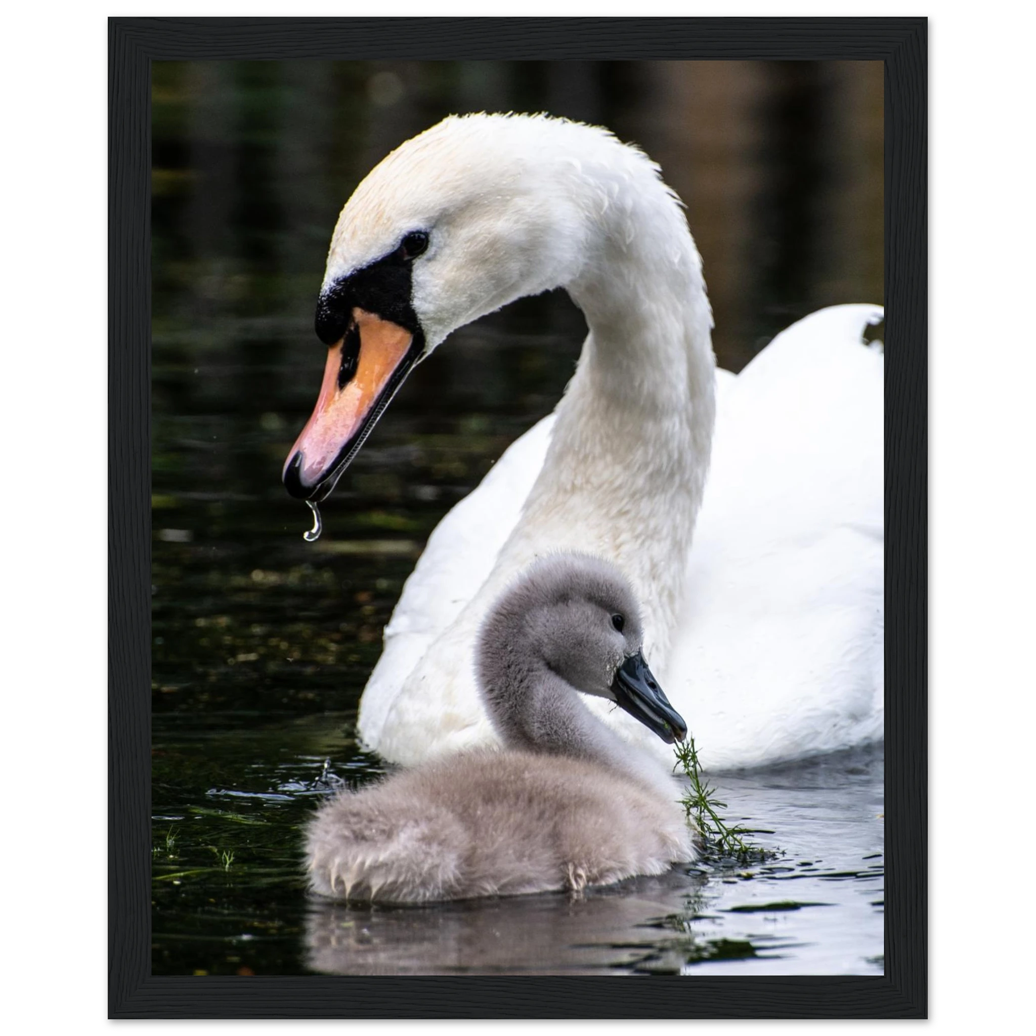 d1ac299c-ab01-45eb-975f-0c1c2636a14e