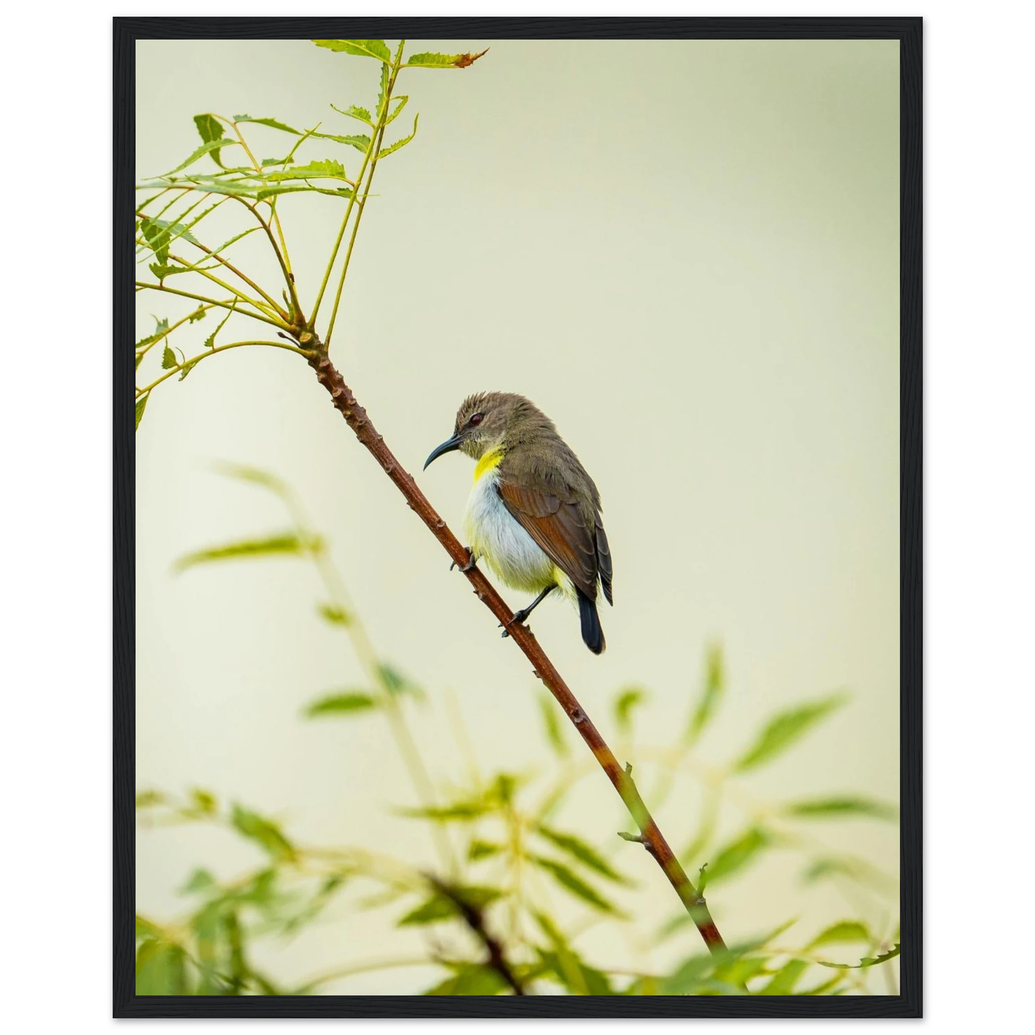 d1b459e4-a357-4faa-b698-ebd9e8ba6ad9