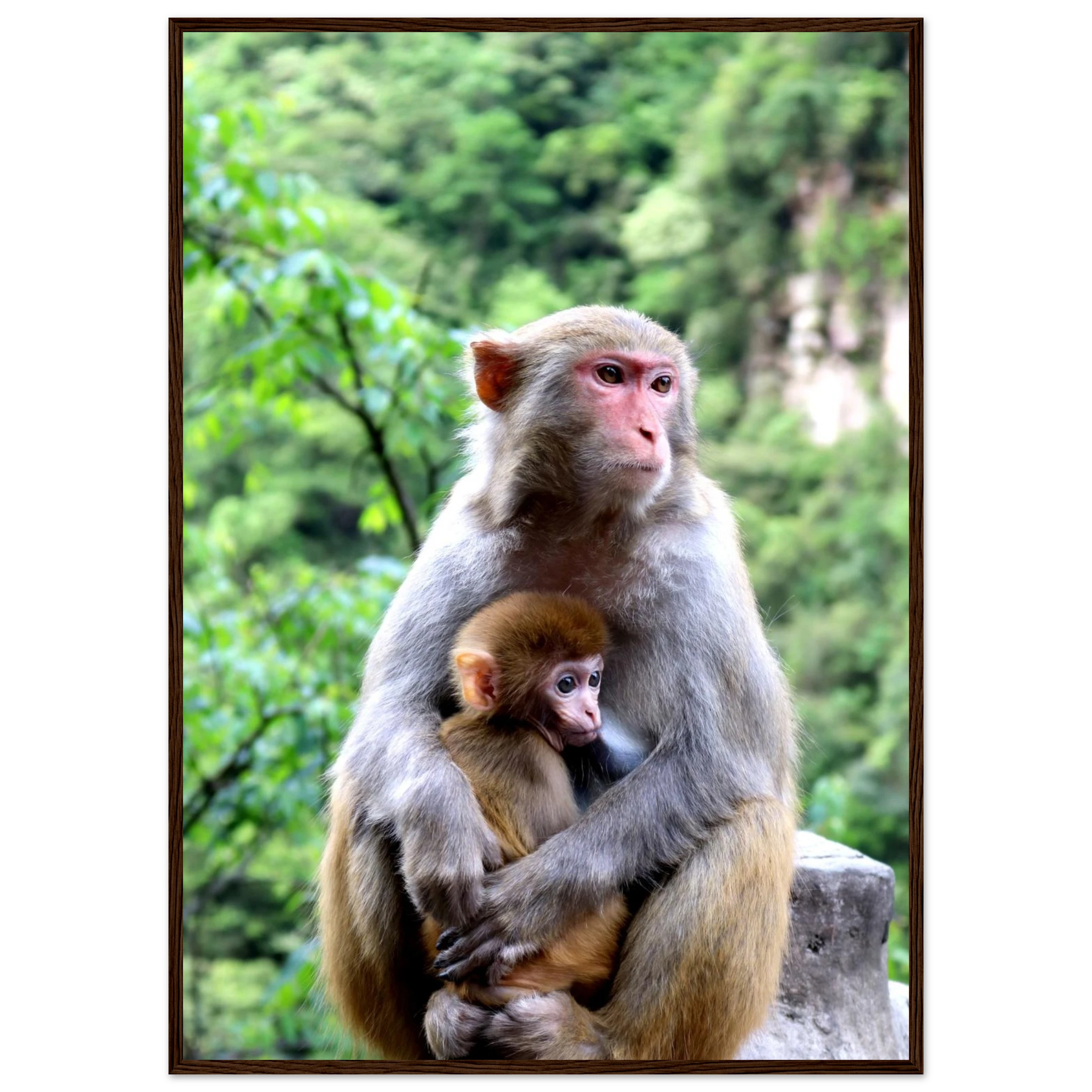 d1c8370d-329a-4644-95b9-3636330a6a31