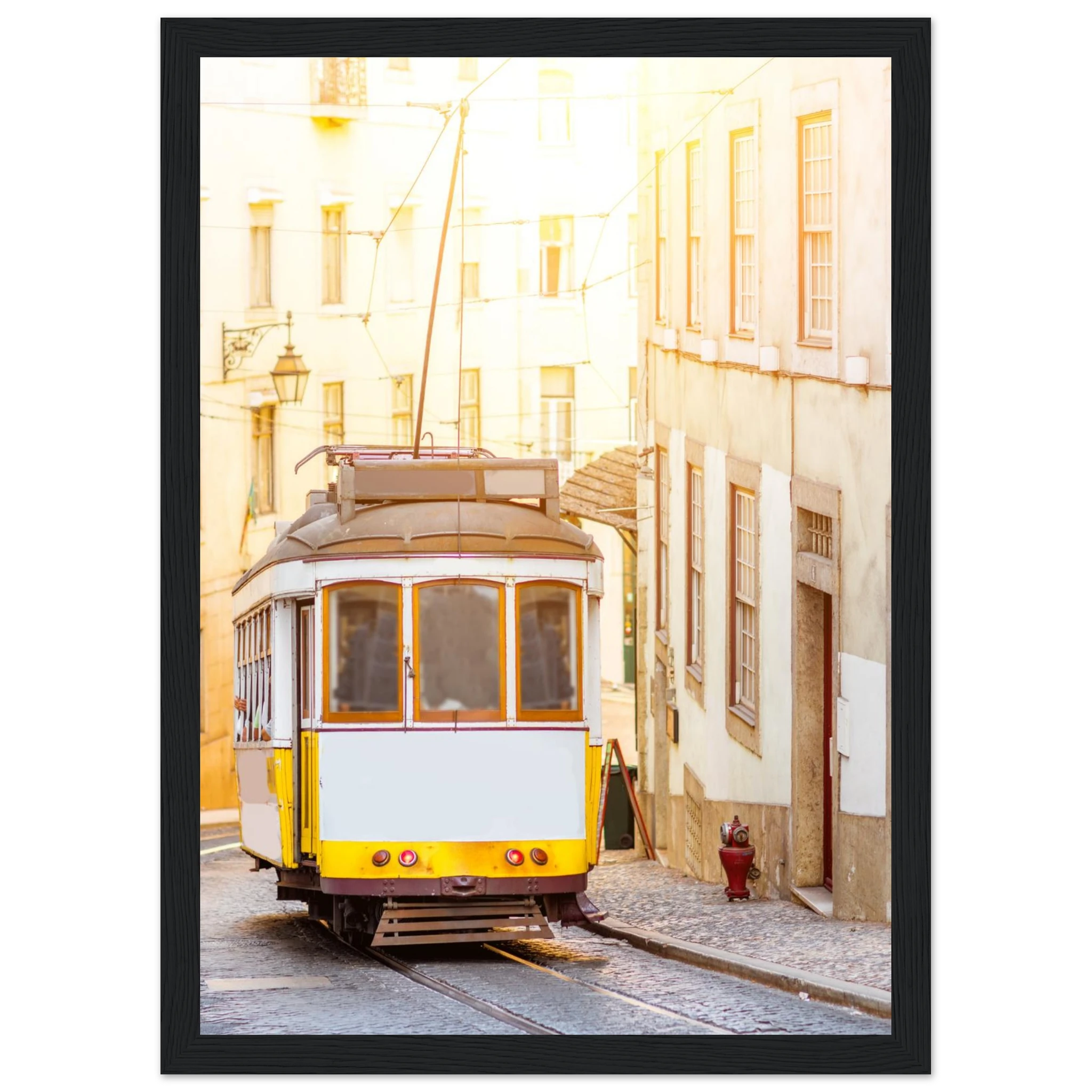 d1c8f3bc-e8c6-4fcd-89da-38aa4f1982f2