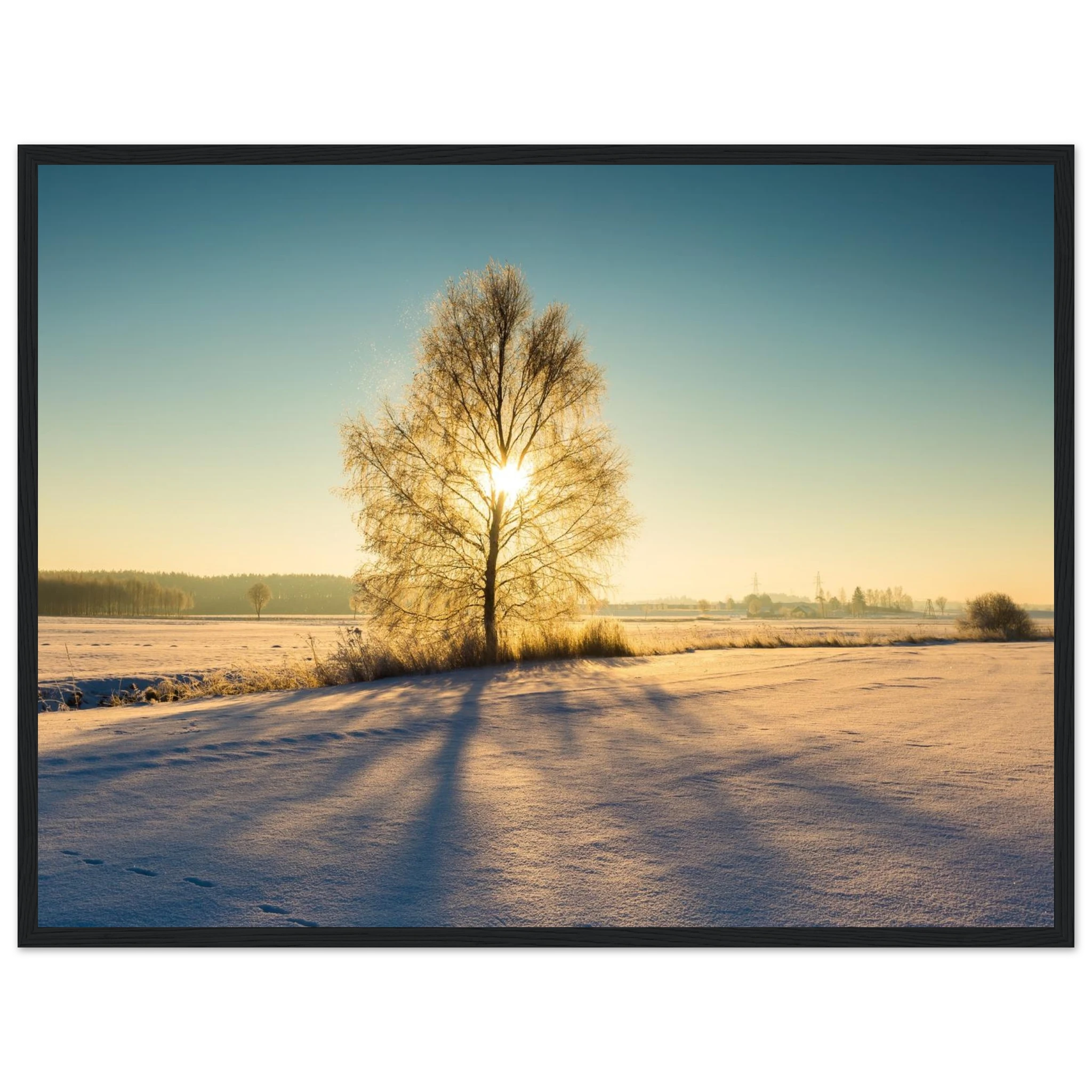 d1cae95d-e1bc-4c86-a476-49f94b89376e