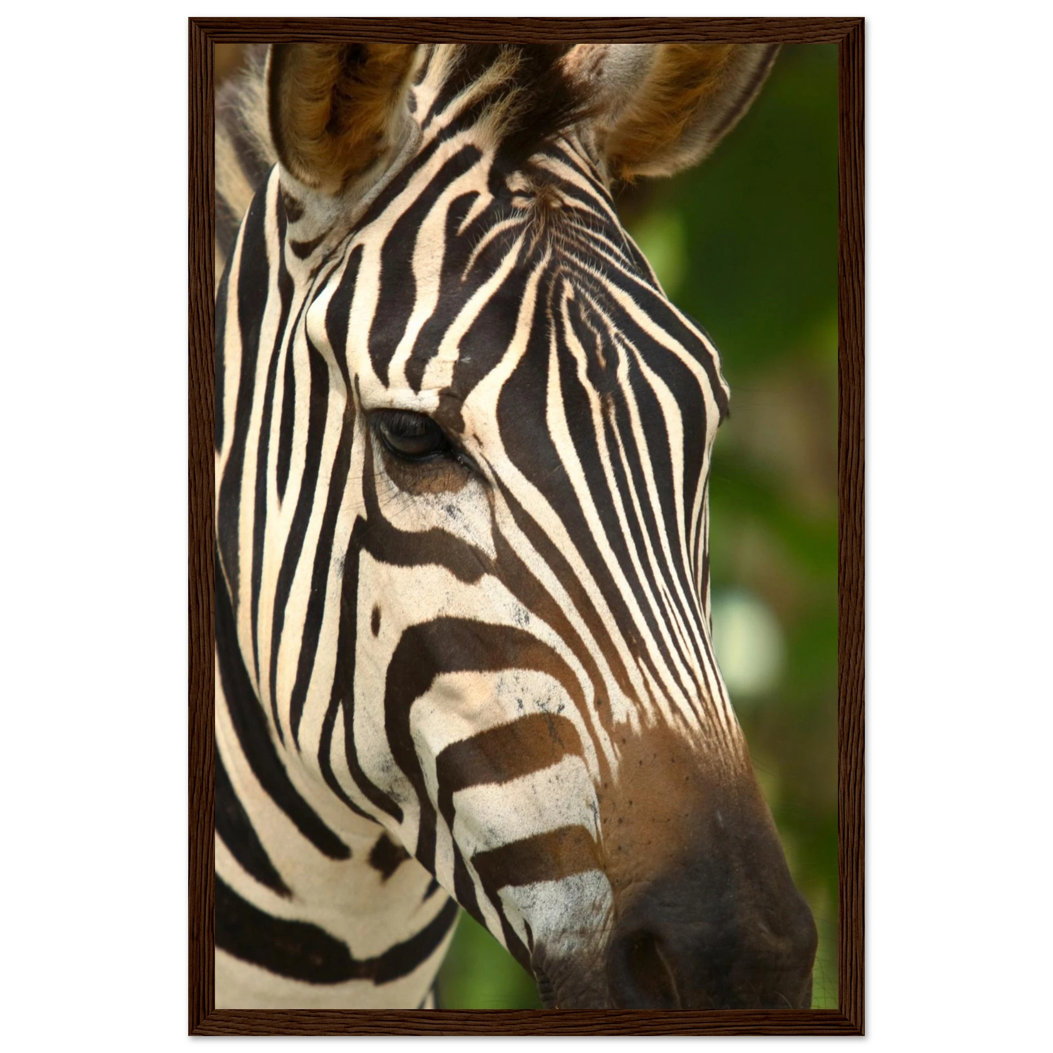 d1cc4545-18c6-4b28-bae7-964b81aa81c4