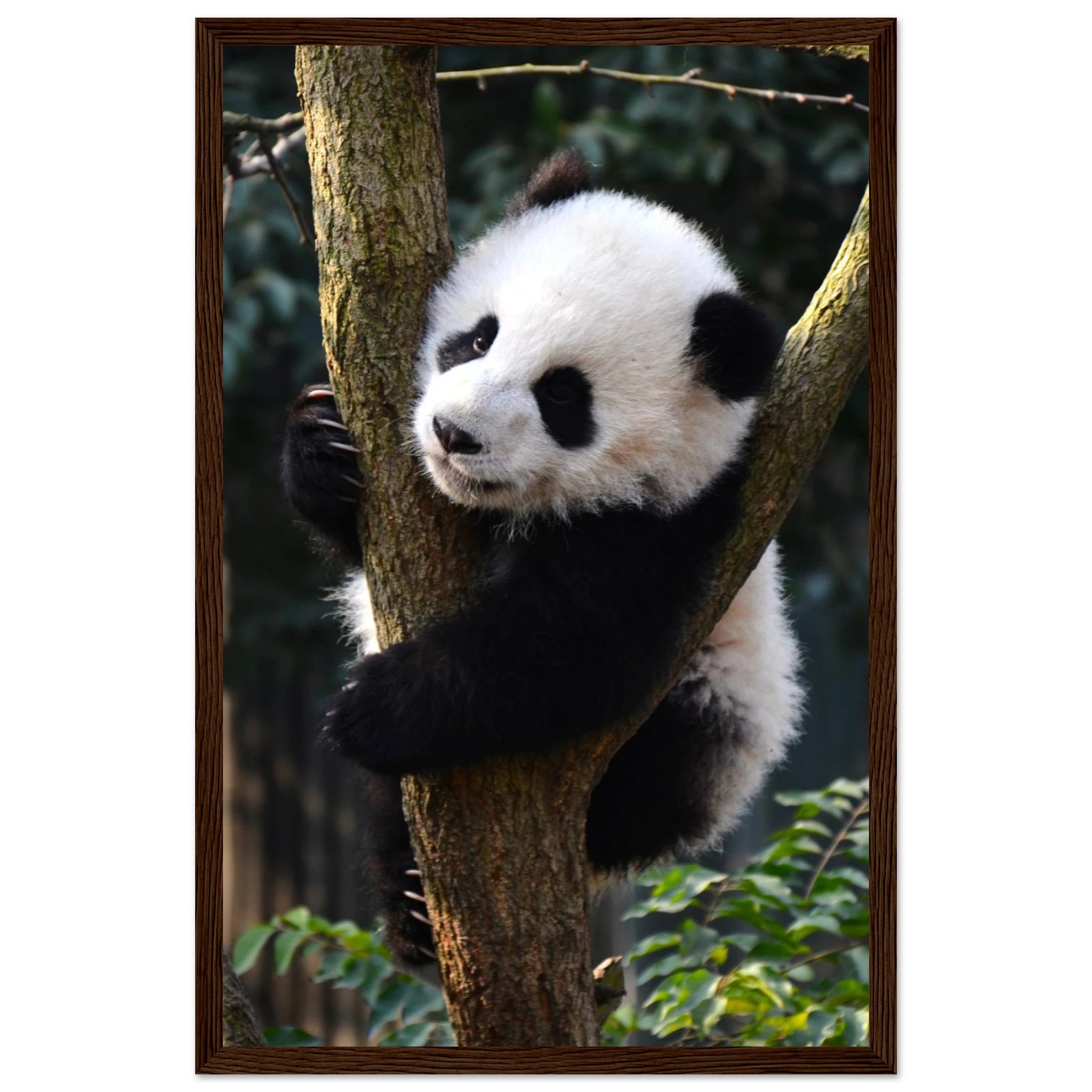 d1d78e51-8b70-4f55-b016-55314597183e