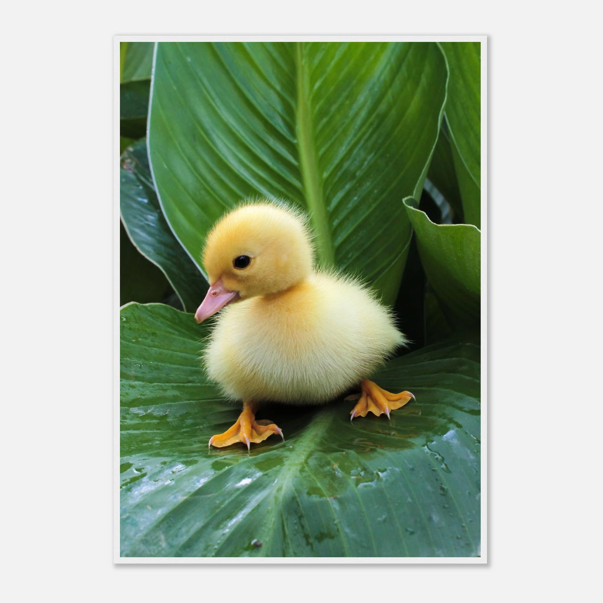 d1efb5fd-6a33-4e28-b112-8ff154dbcf24