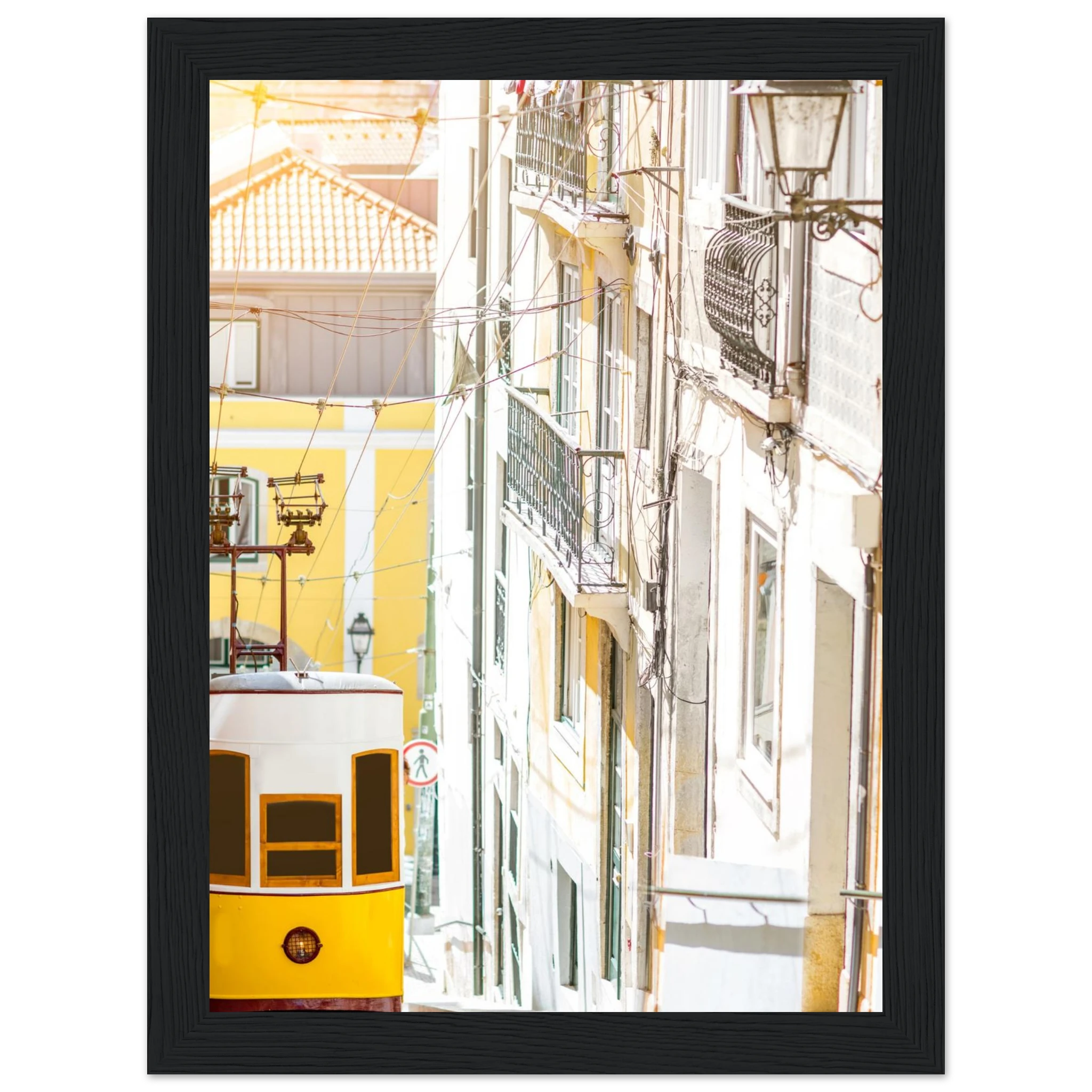 d1ff9d92-c597-412f-9f19-c5f73cb347ed