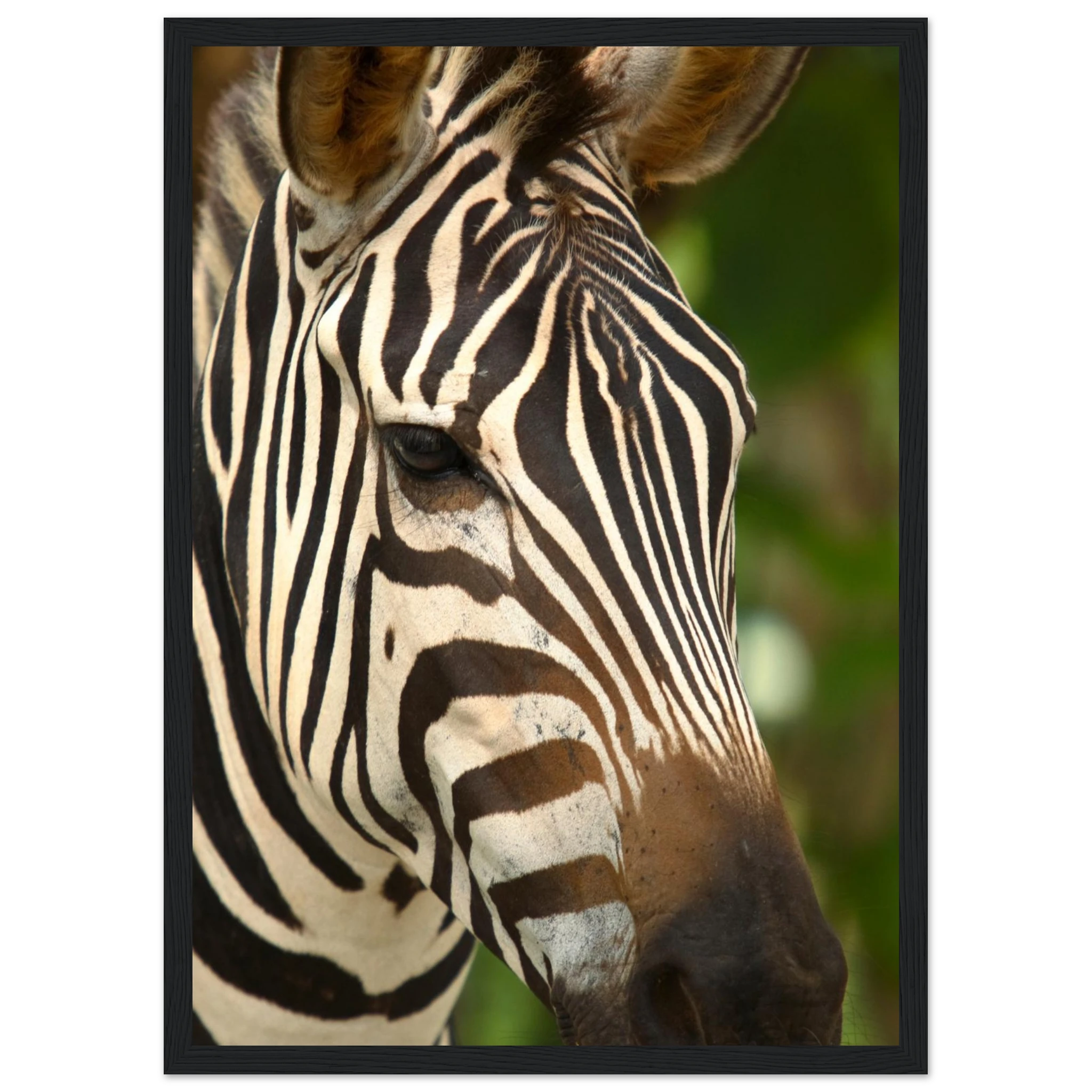 d205edc3-f812-41e7-a43f-c909ad863e15