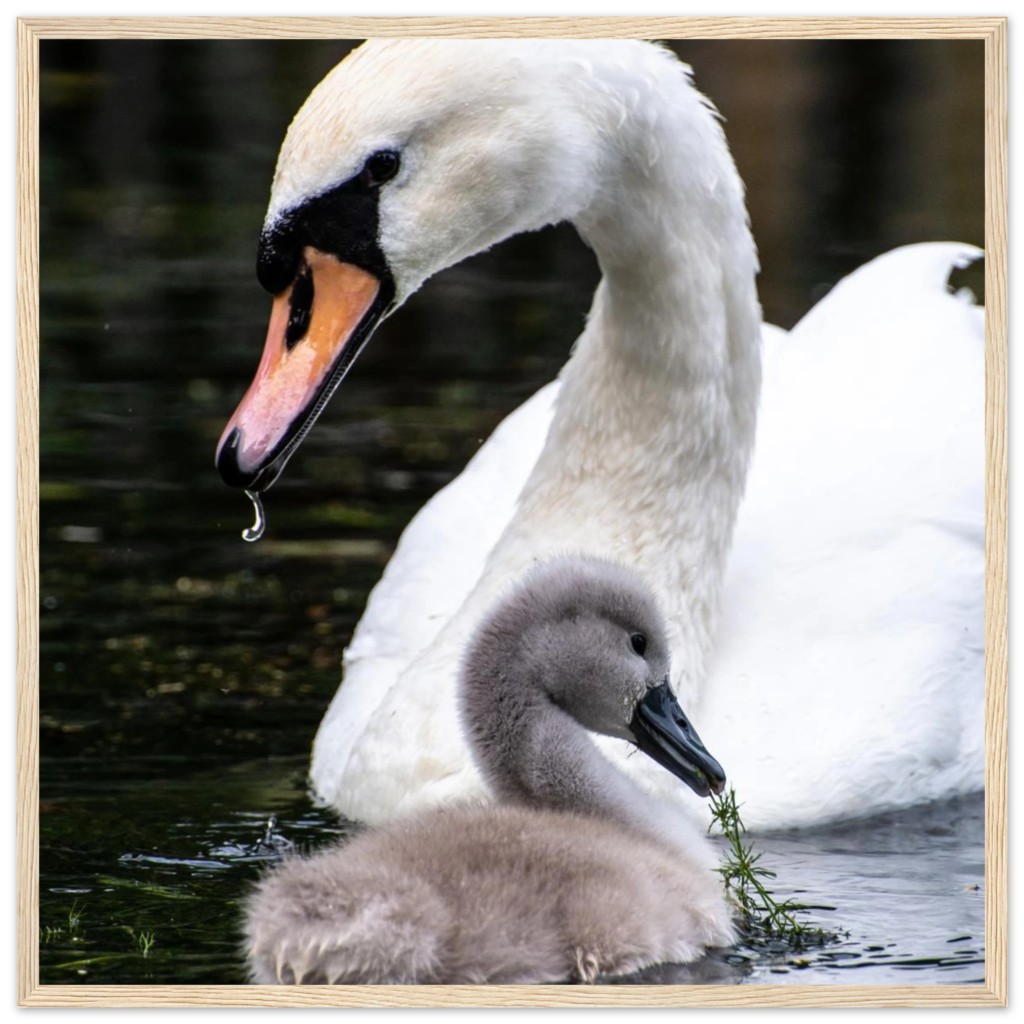 d21b9001-f893-4022-a82e-cc63e1199c7b