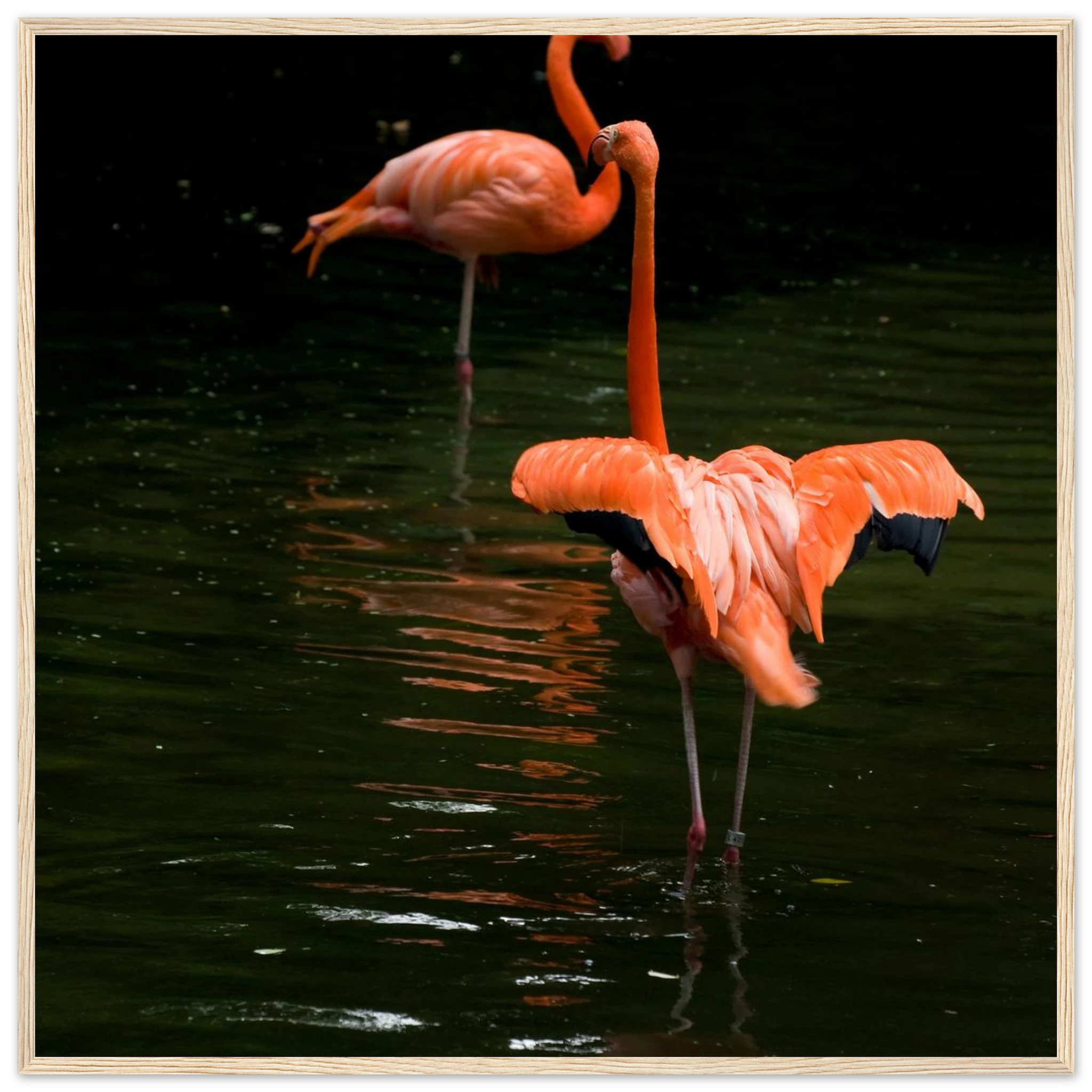 d233a903-f97b-49b8-a484-e5d8b0b51599