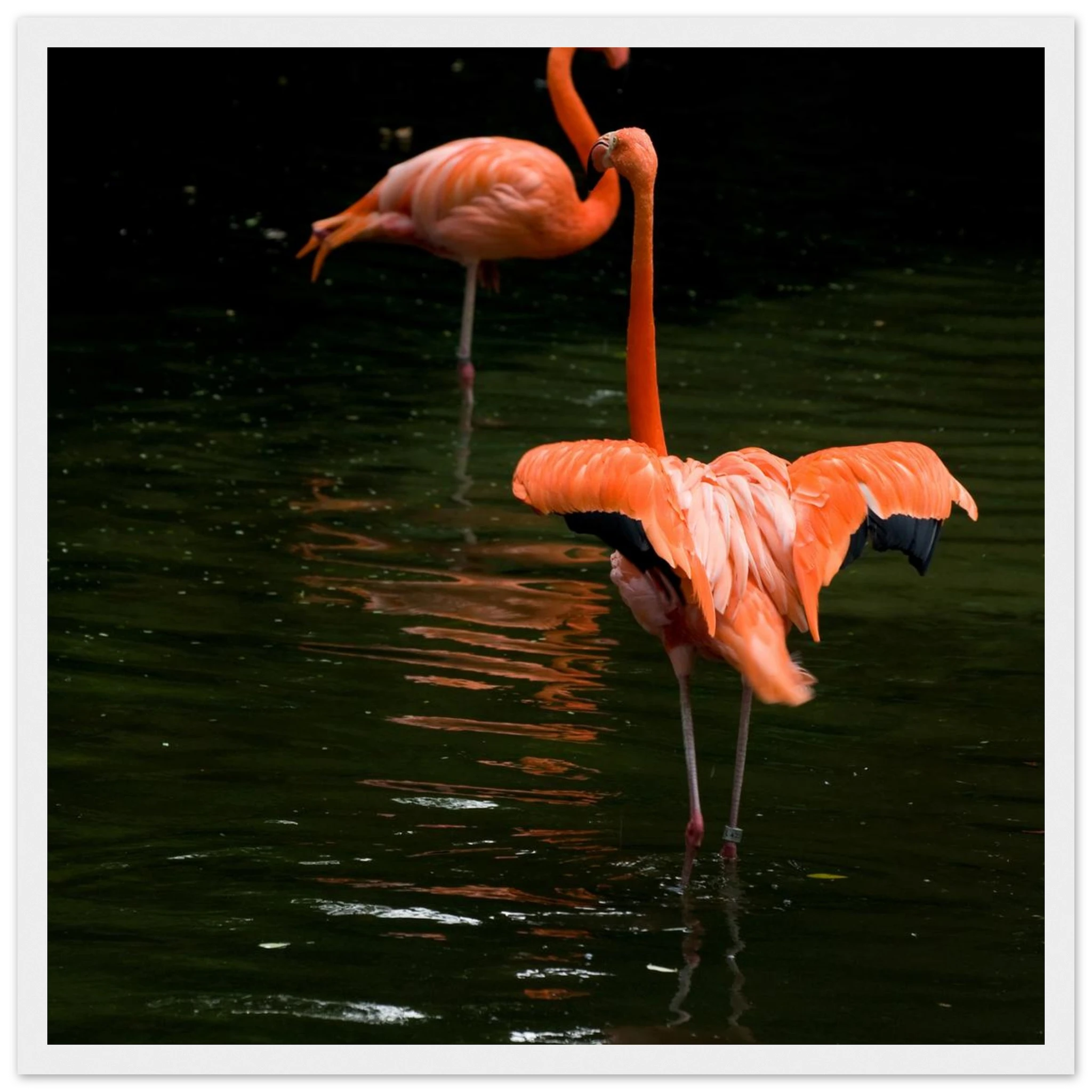 d25089e5-9e5d-45f5-9a48-2bac31eee783