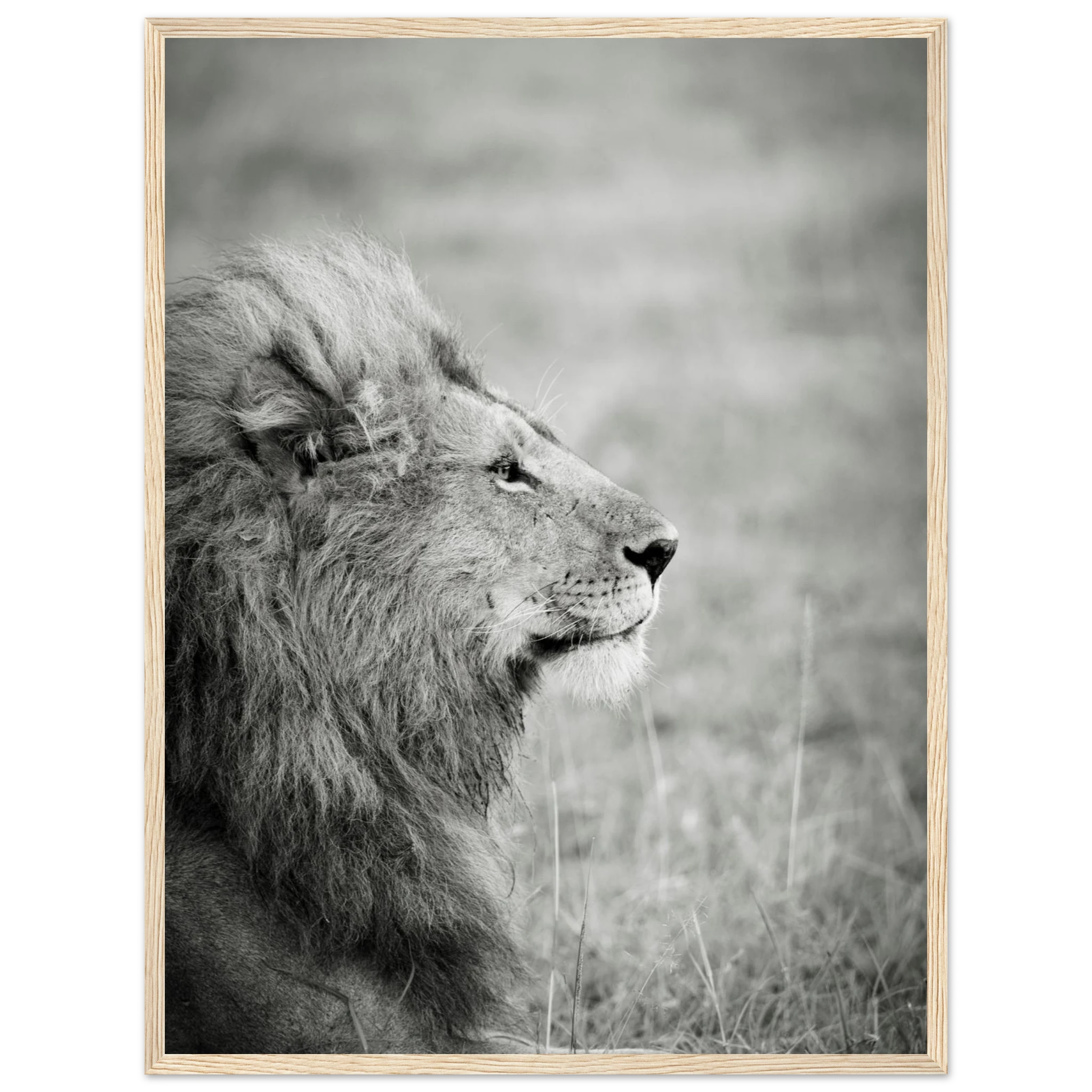 d28275ae-a1a9-4c1e-bd65-d8eb675e463b