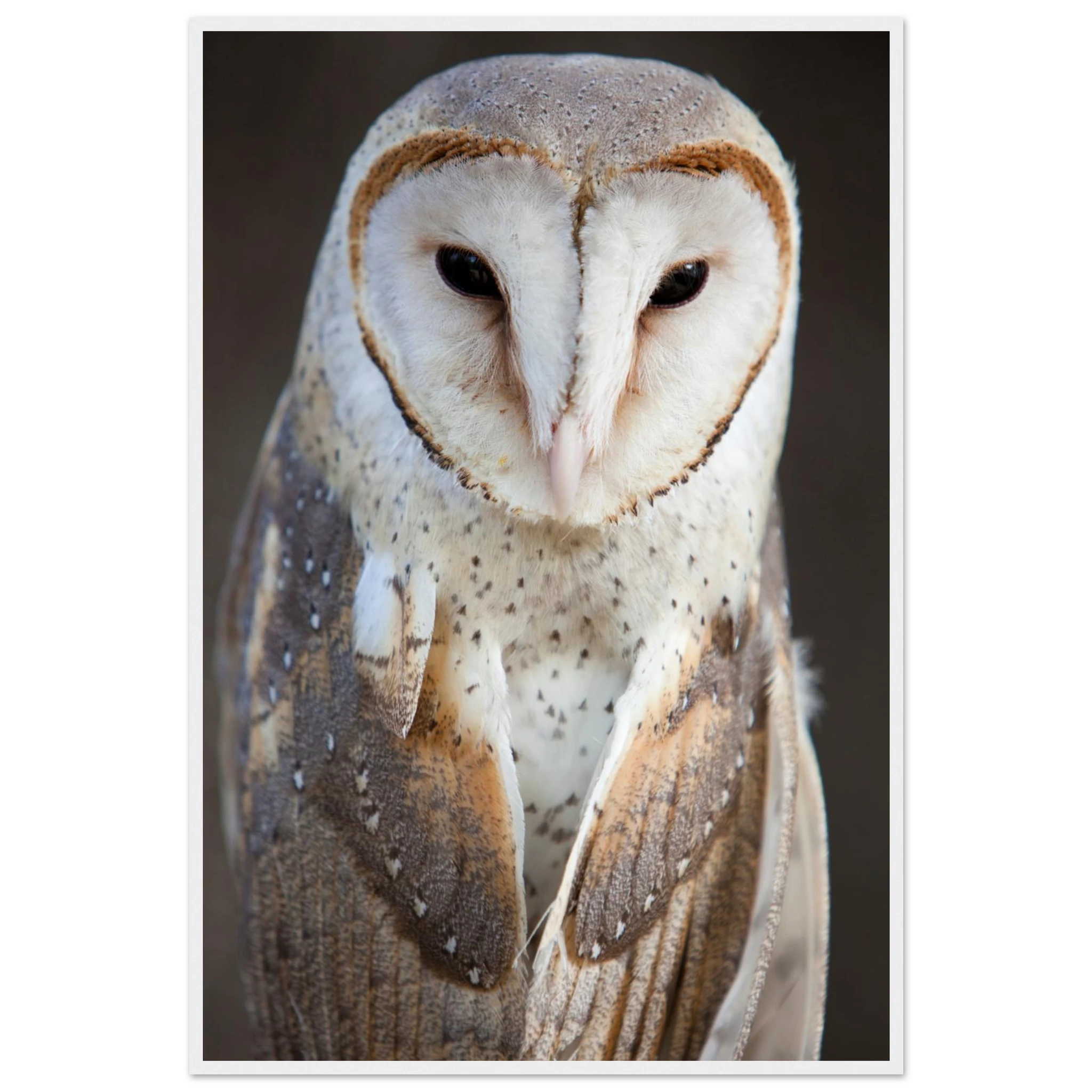 d2b556c4-6be5-4476-bbc4-1ef34364d924