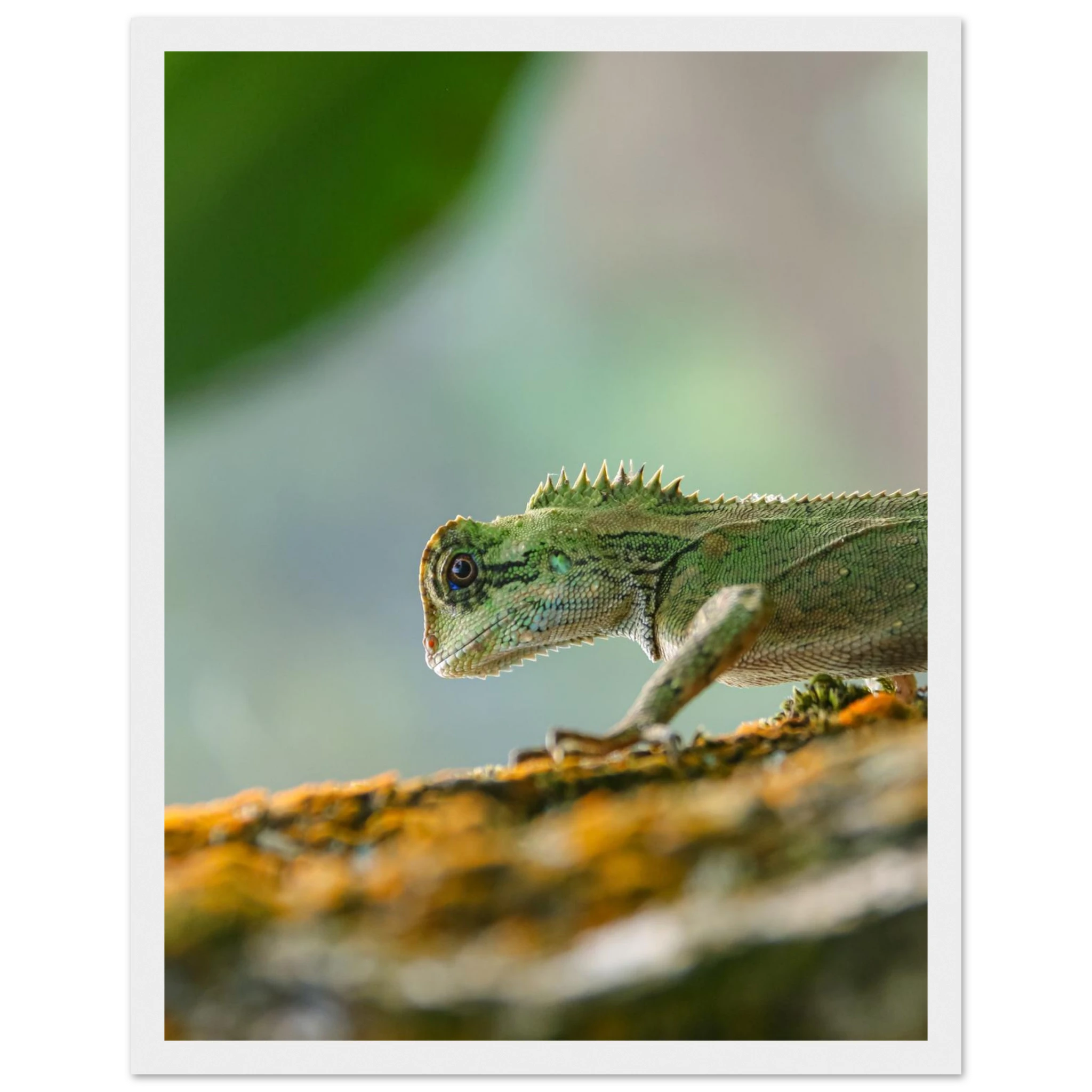 d2b67bad-7524-4c6d-a148-a9f669614471