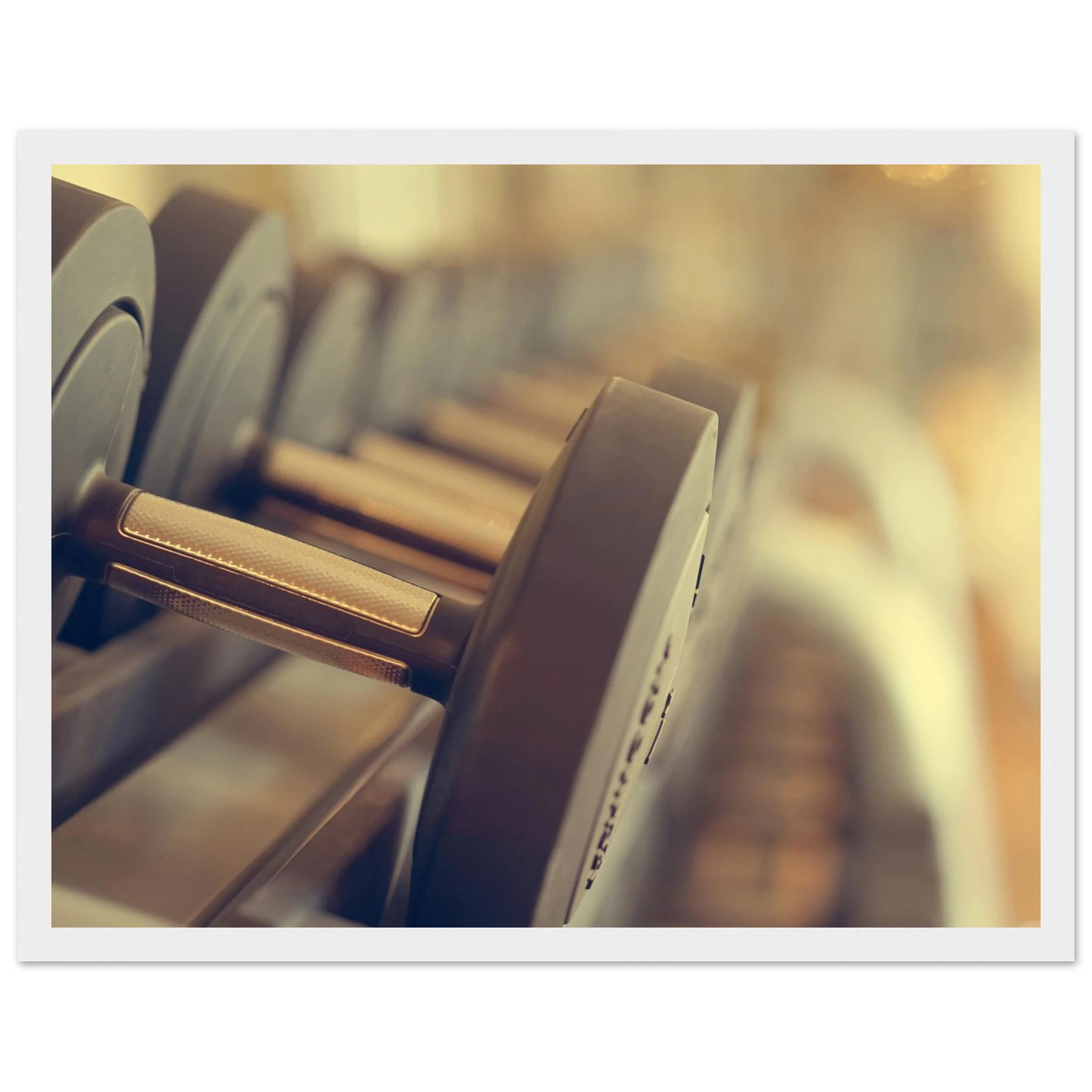 d2b93867-0204-4fb6-96e4-3041a88a9c4d