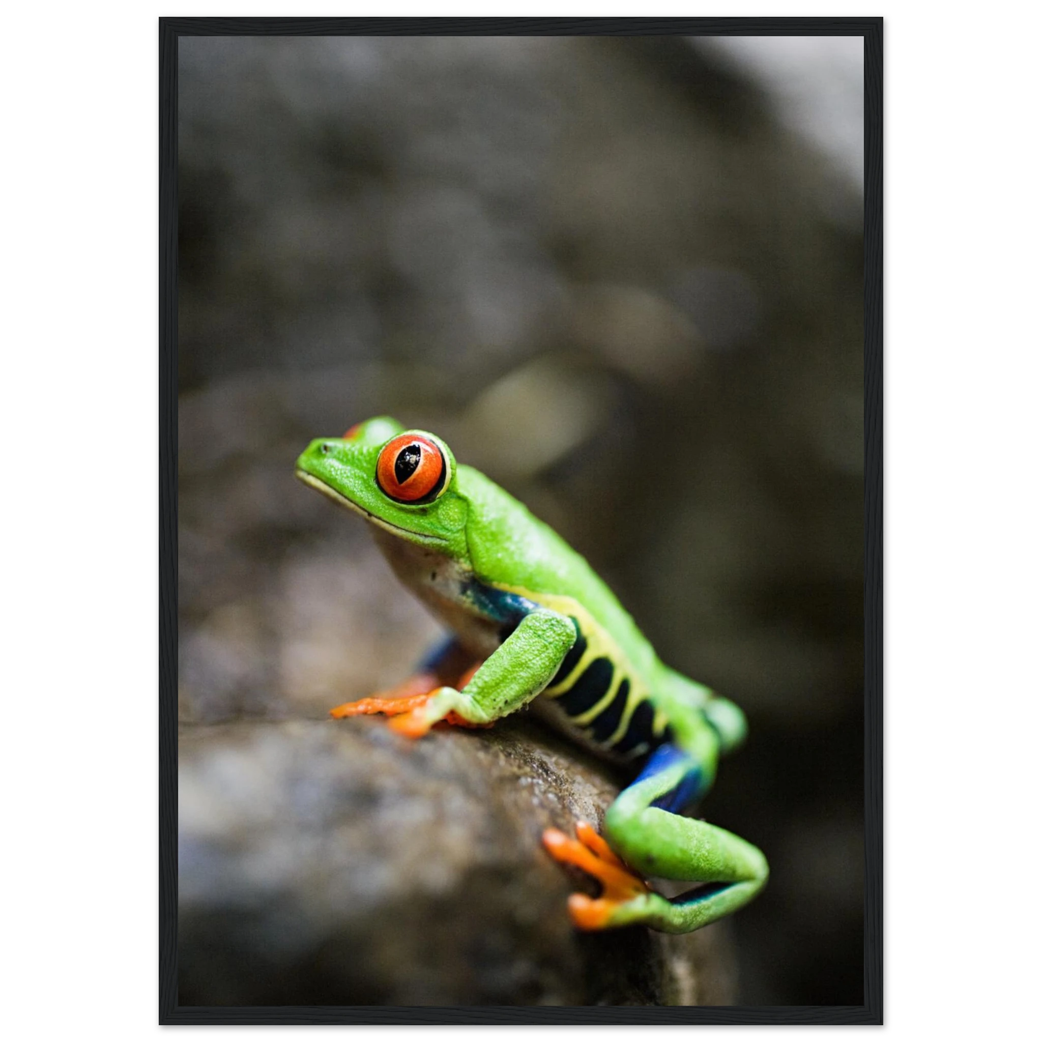 d2bd6d77-231e-4337-aab8-cbce32178e62