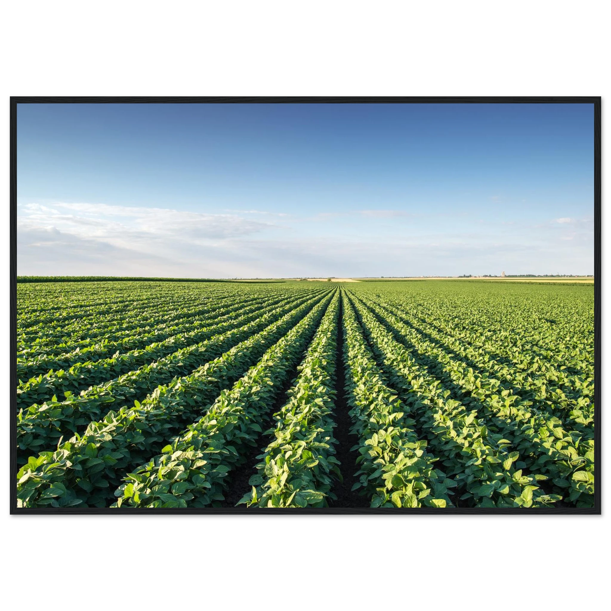 d2c396de-cbb8-4a7e-966a-bfca6643d422