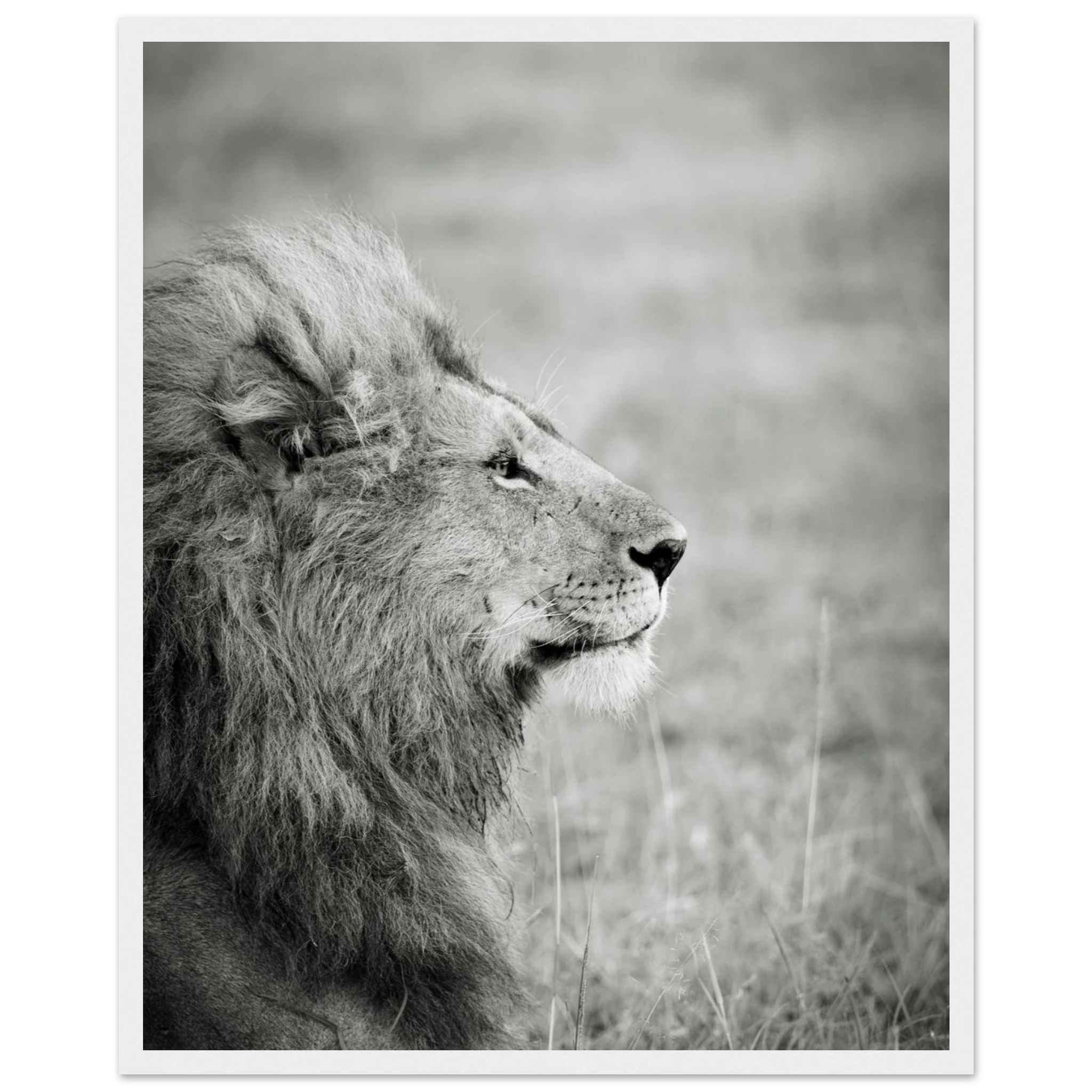 d2c54b7d-efd6-4f82-98ac-c27129875e80