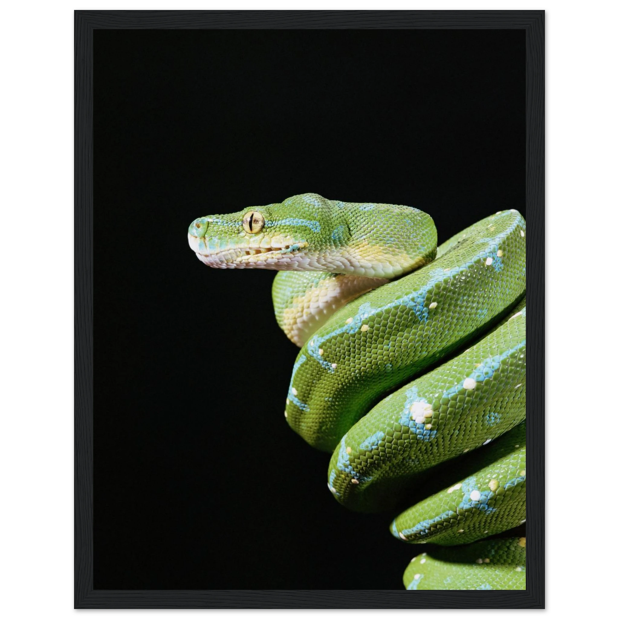 d308b816-0c85-4415-8792-4355fb1440b4