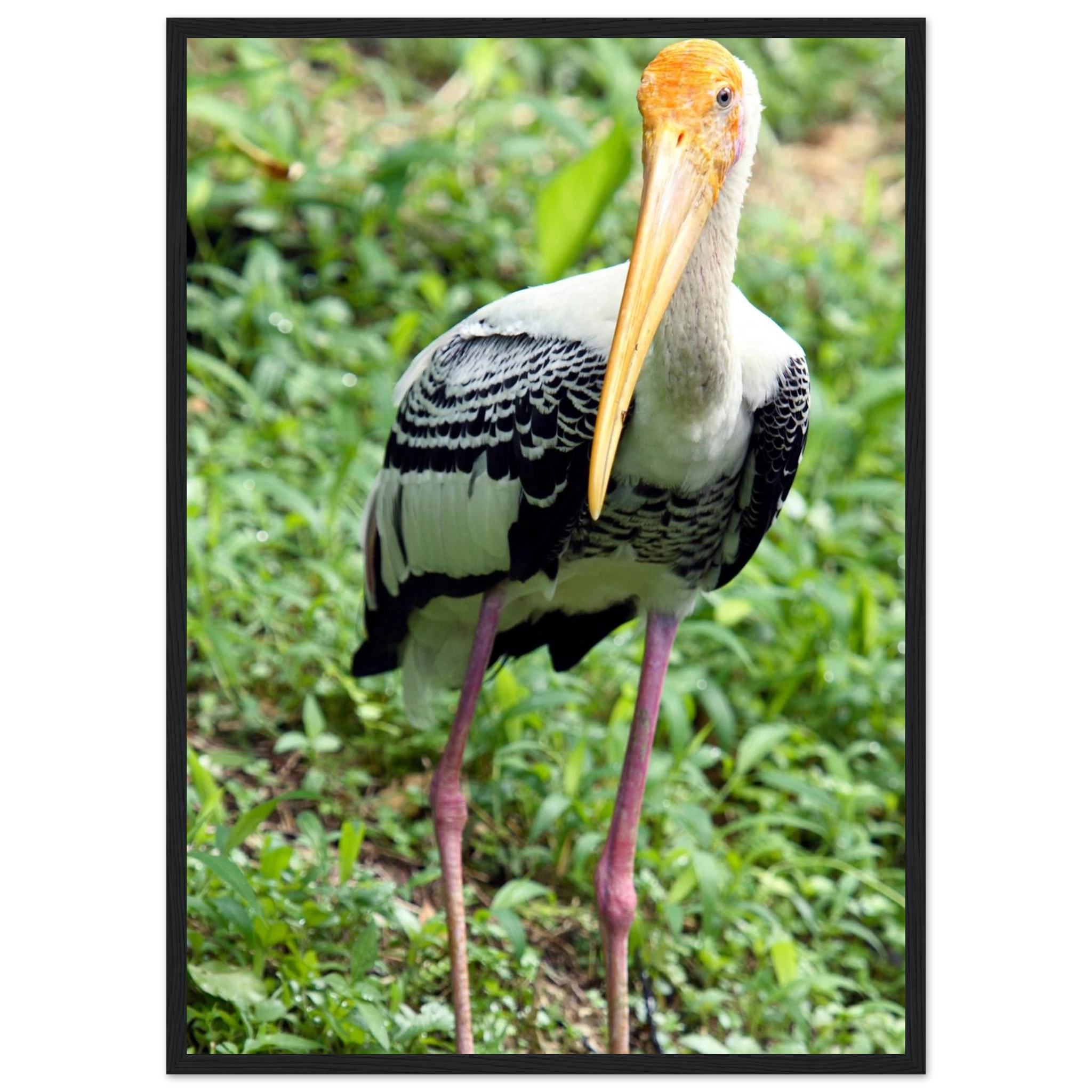 d30f0544-e2e5-4929-9238-c405f7f7e472