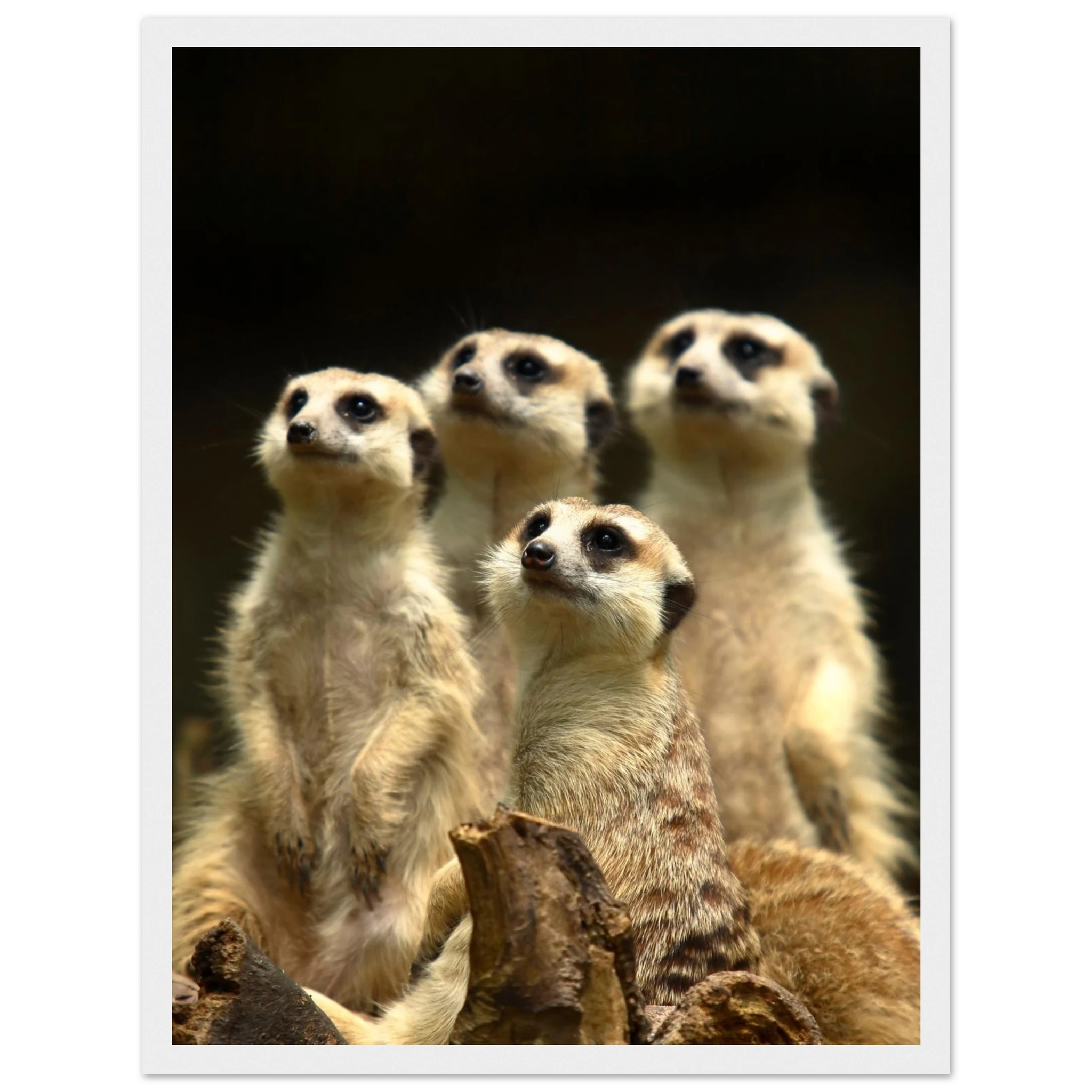 d3126bc8-0ab0-474c-a9b4-3a7fdf012b4e