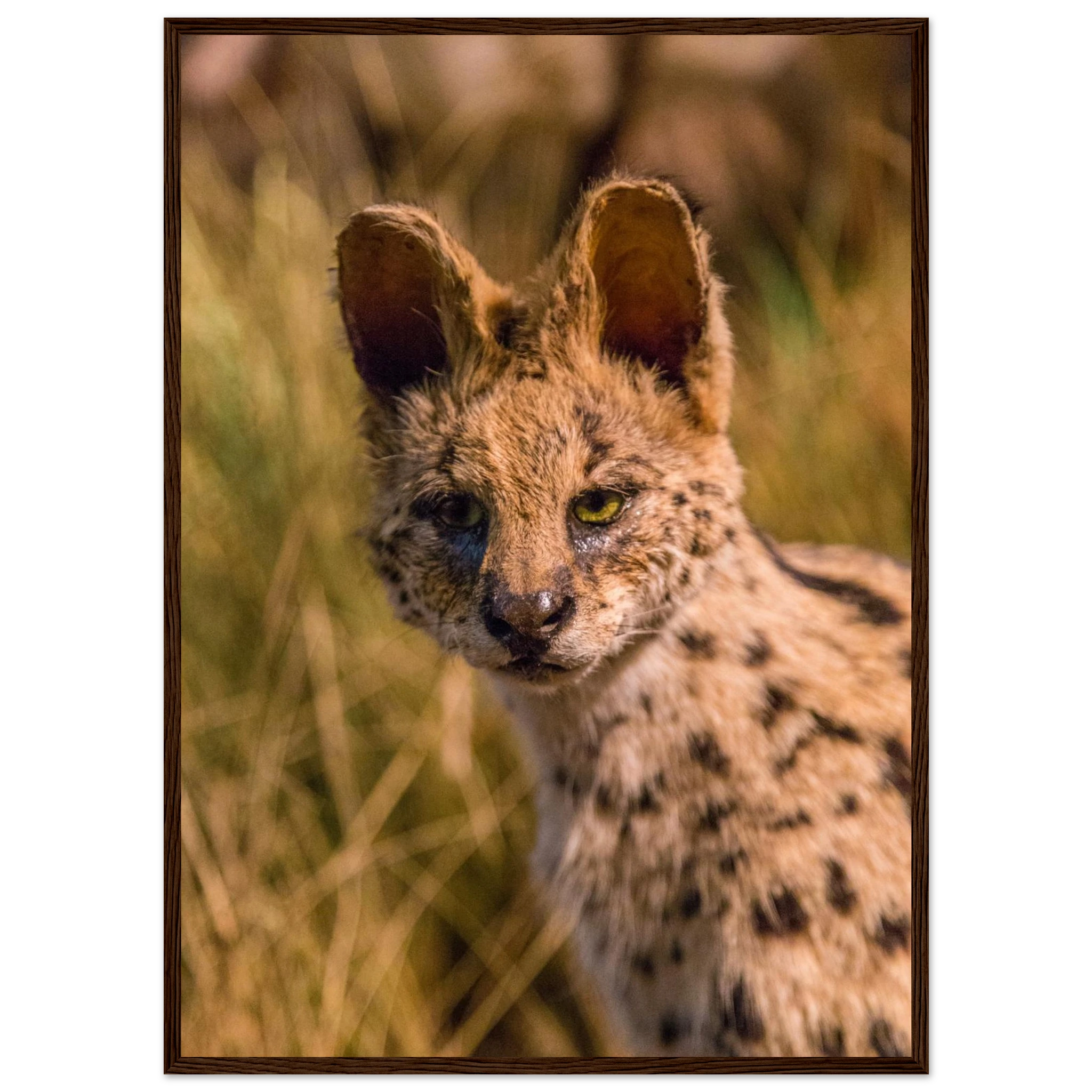 d33e217c-a510-4232-ae3b-c1a2a13f88bc