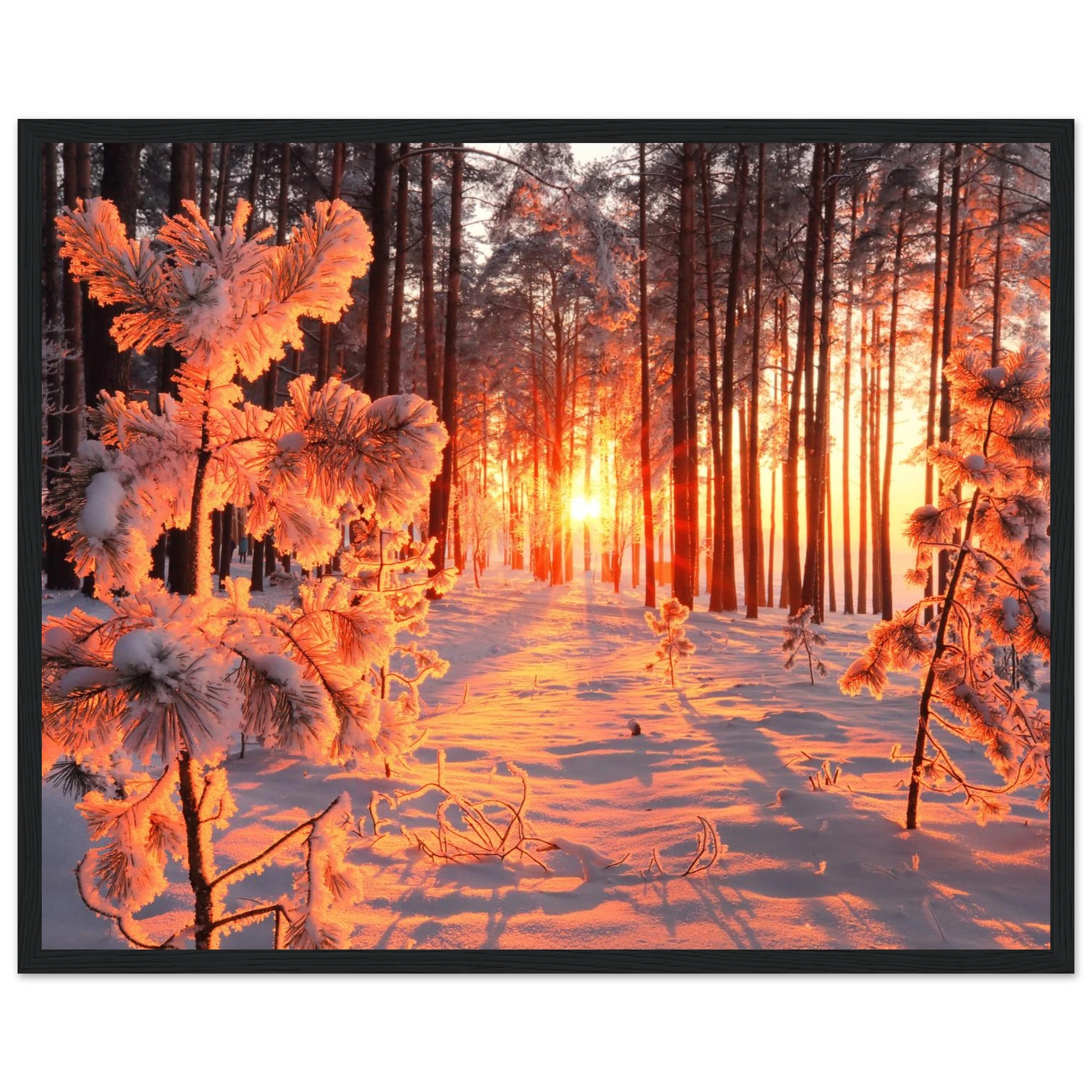 d33e7db4-4fa5-49d9-b108-b4d6ab182d03