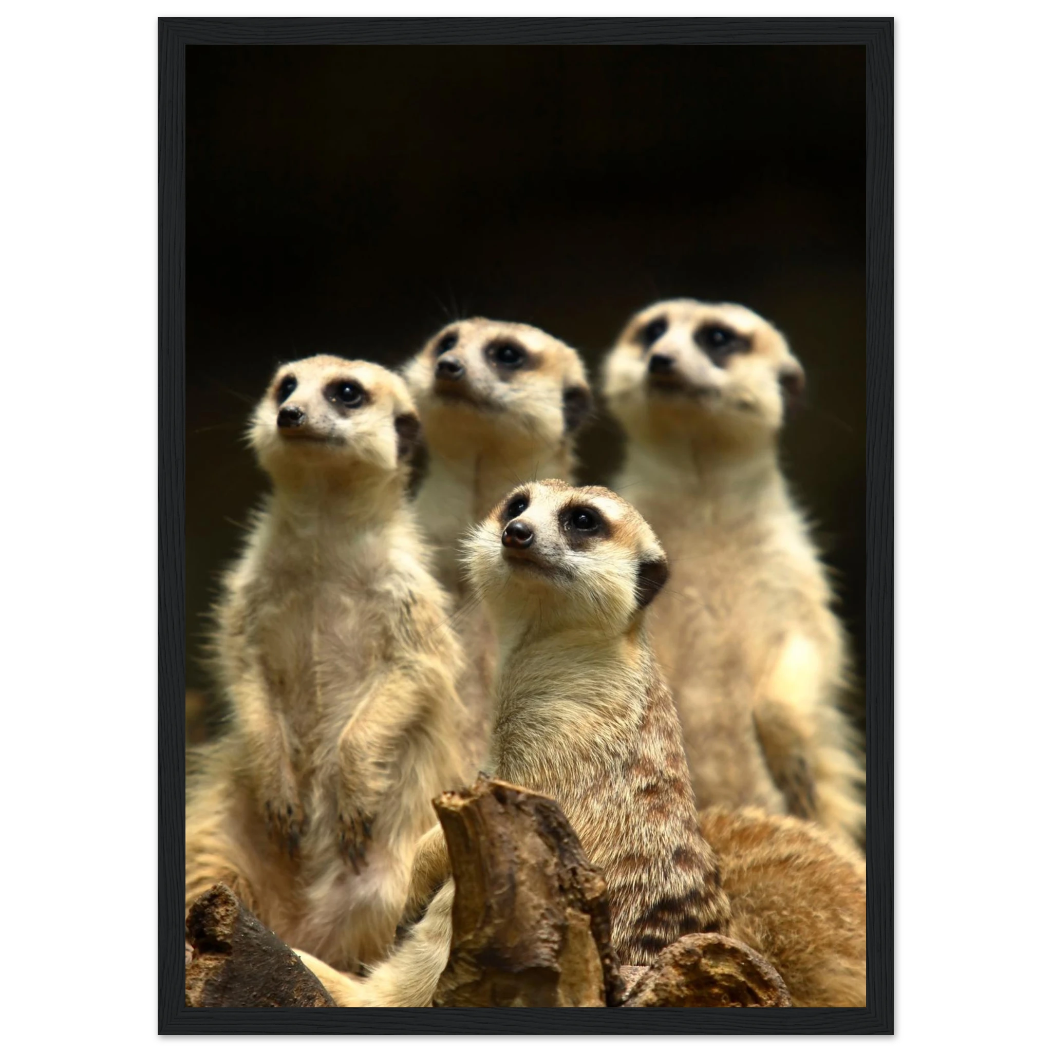 d34595b1-5d23-4696-ad26-a4d2936ab507