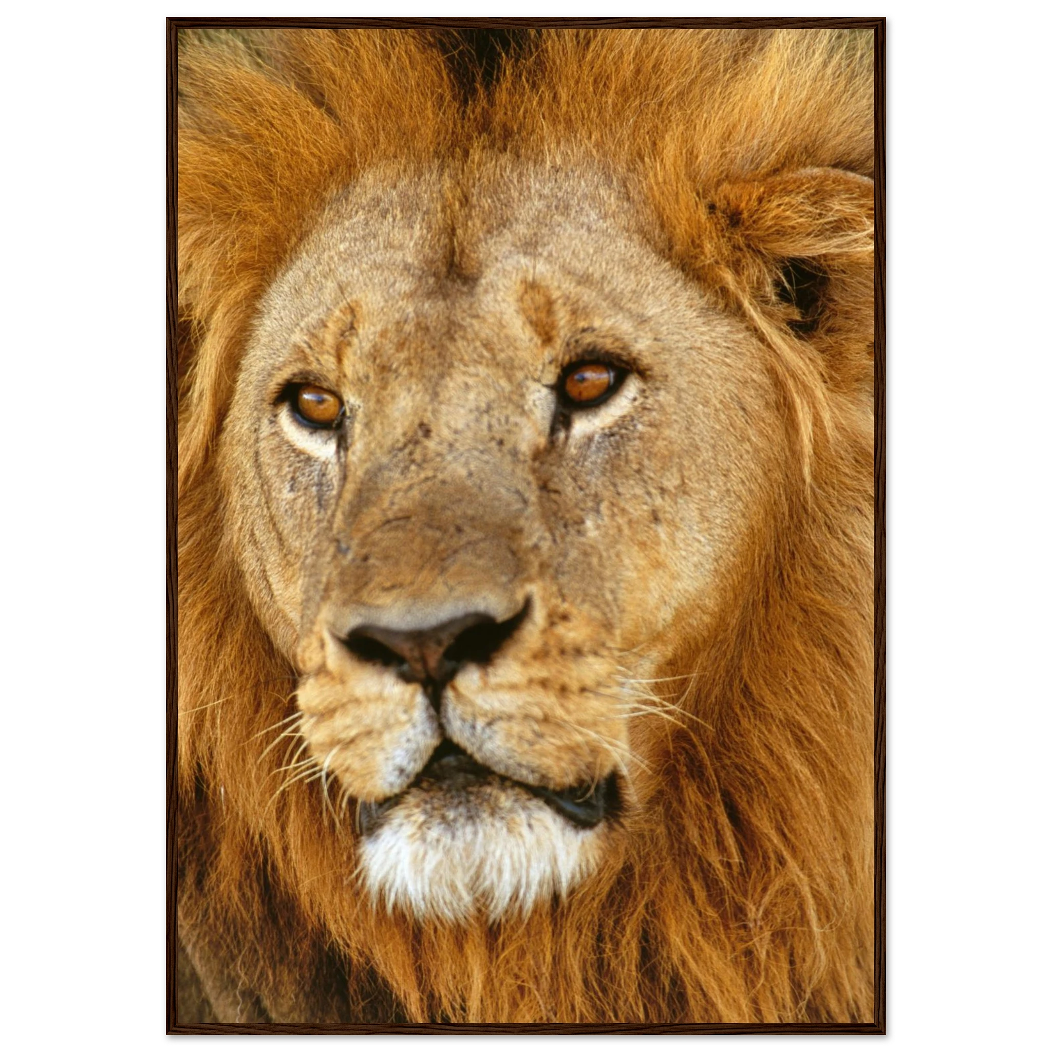 d35d8353-0bb2-46e6-9e0e-4cb62048beab